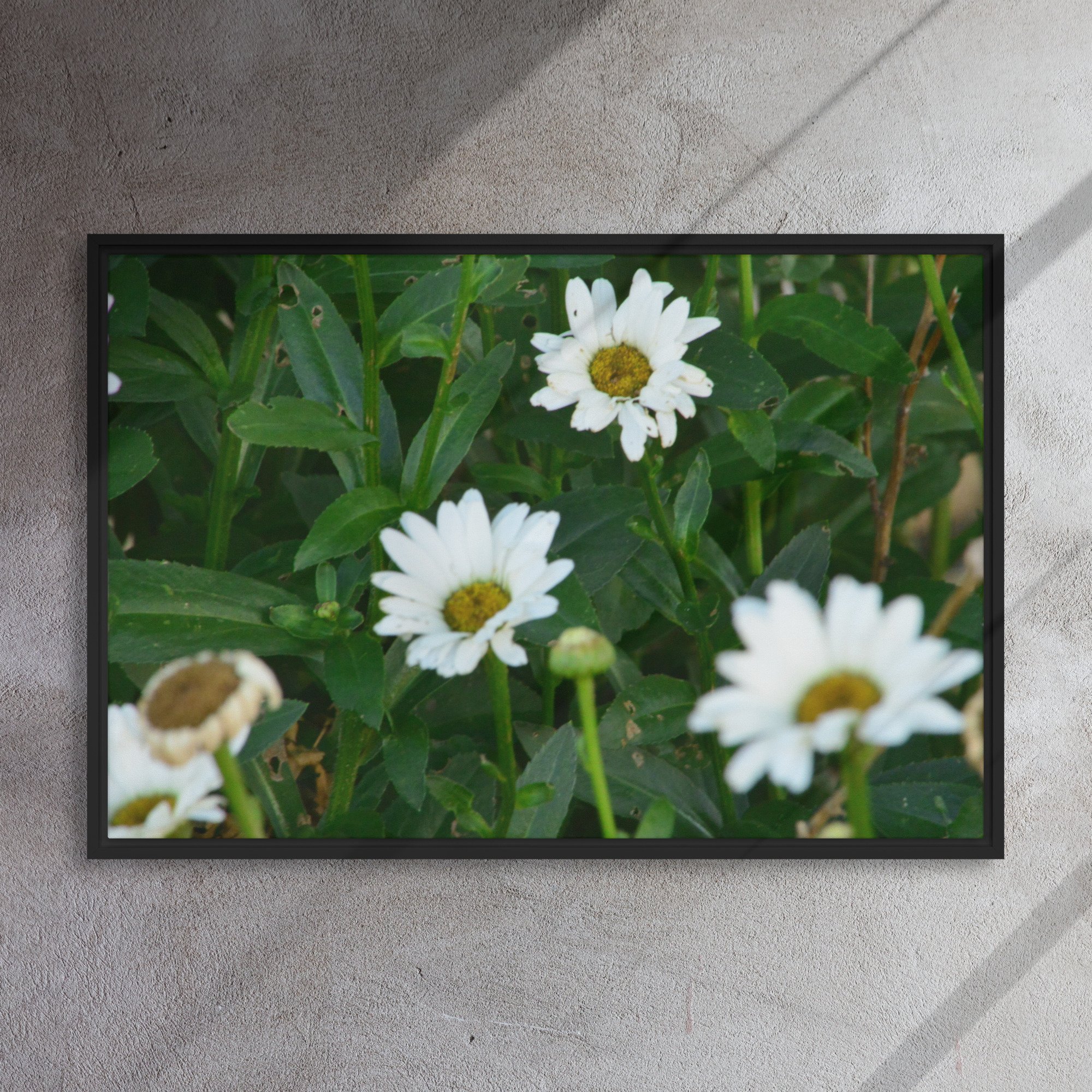 framed-canvas-(in)-black-24x36-front-65ee91b7b3091.jpg