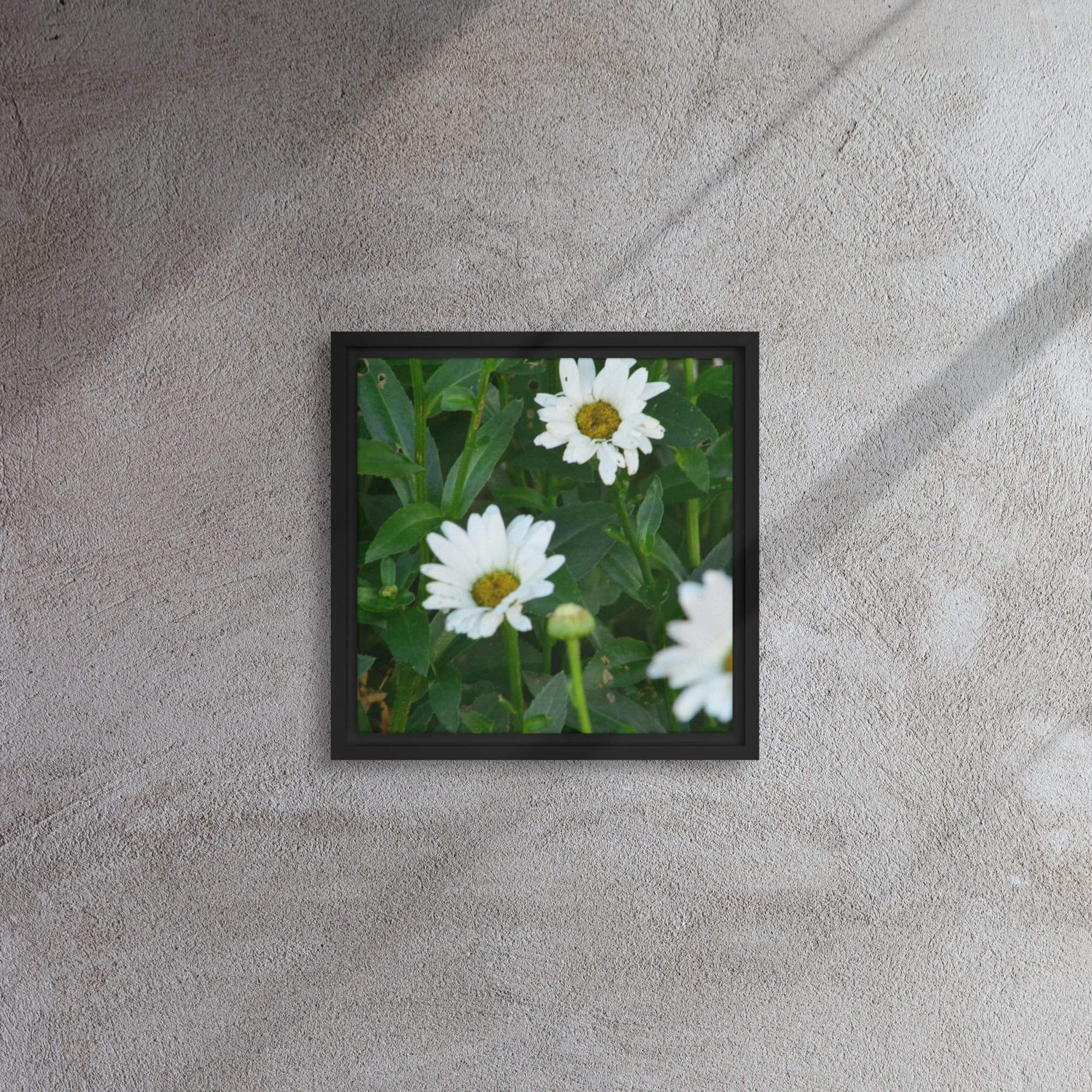 framed-canvas-(in)-black-12x12-front-65ee91b7b463f.jpg