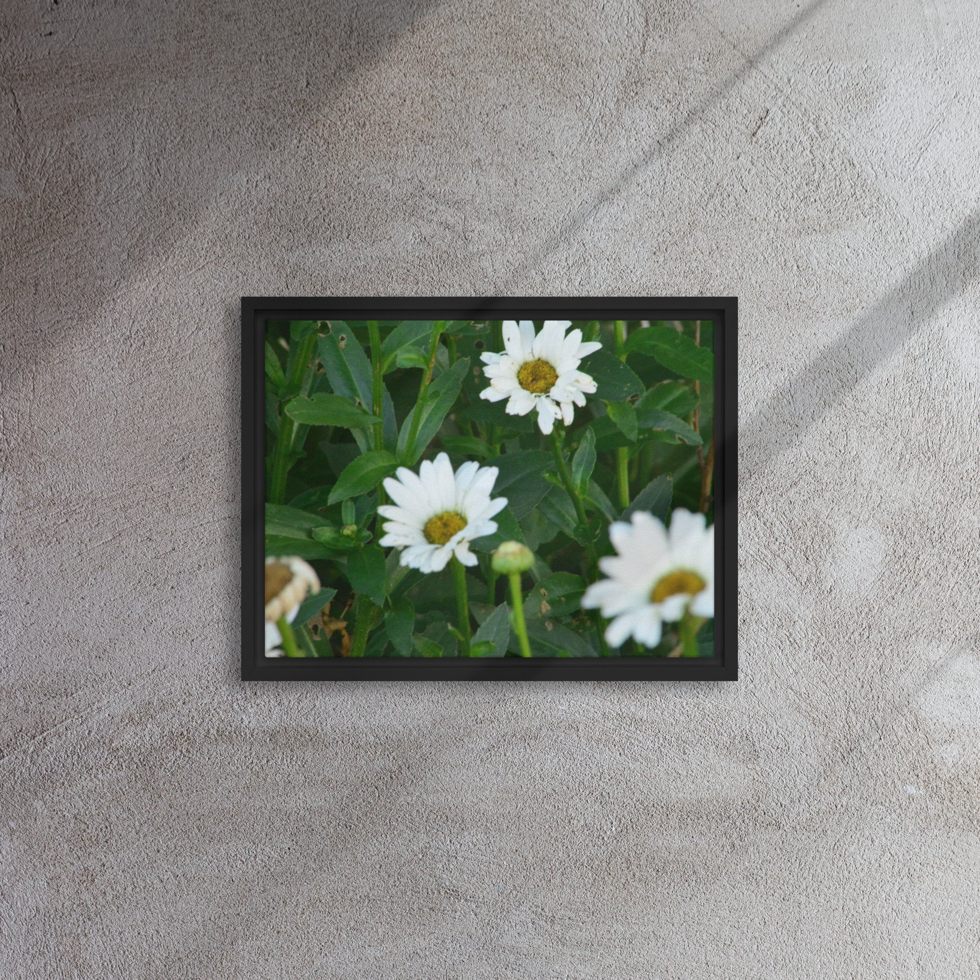 framed-canvas-(in)-black-12x16-front-65ee91b7b46eb.jpg