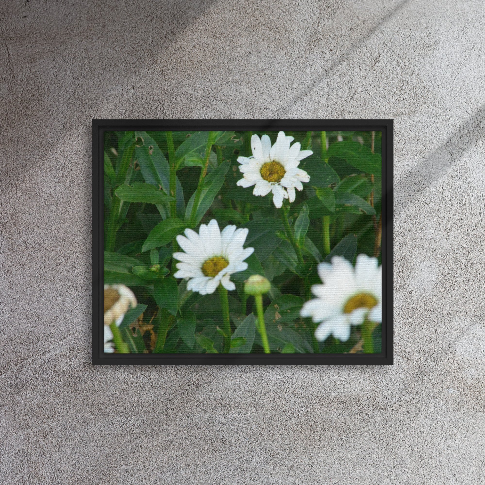 framed-canvas-(in)-black-16x20-front-65ee91b7b47f9.jpg