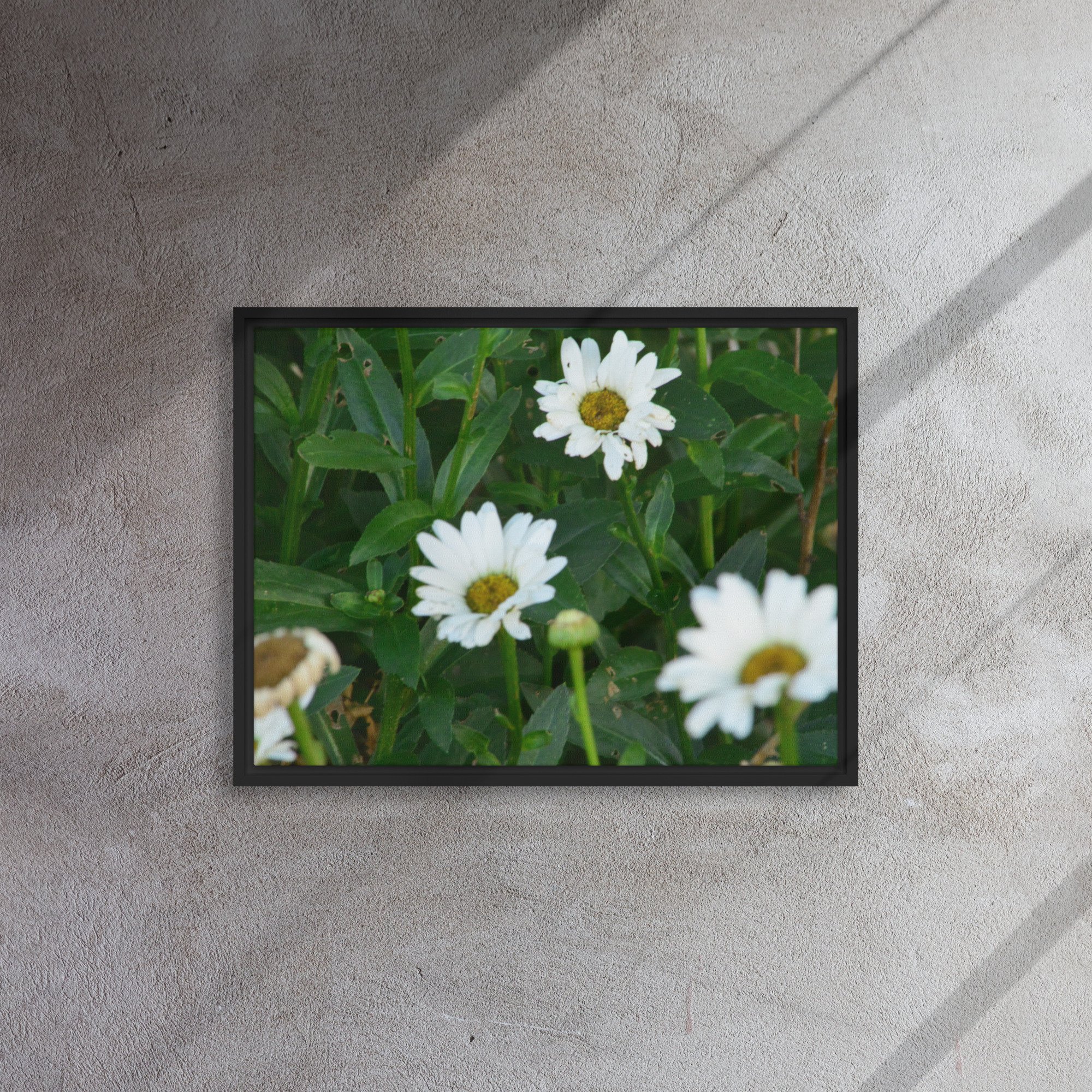 framed-canvas-(in)-black-18x24-front-65ee91b7b486c.jpg