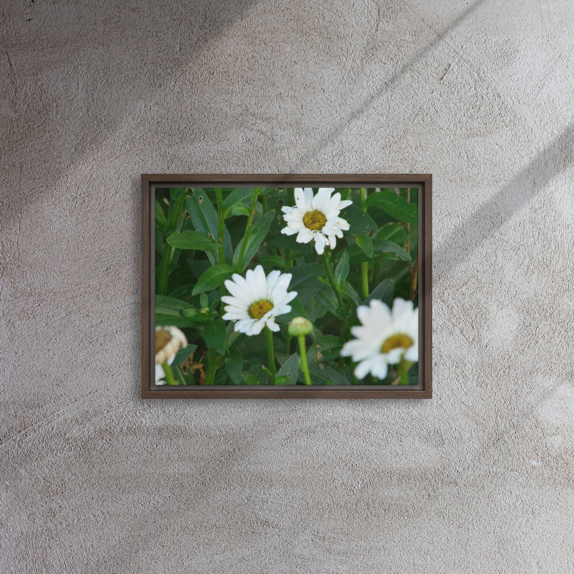 framed-canvas-(in)-brown-12x16-front-65ee91b7b496c.jpg