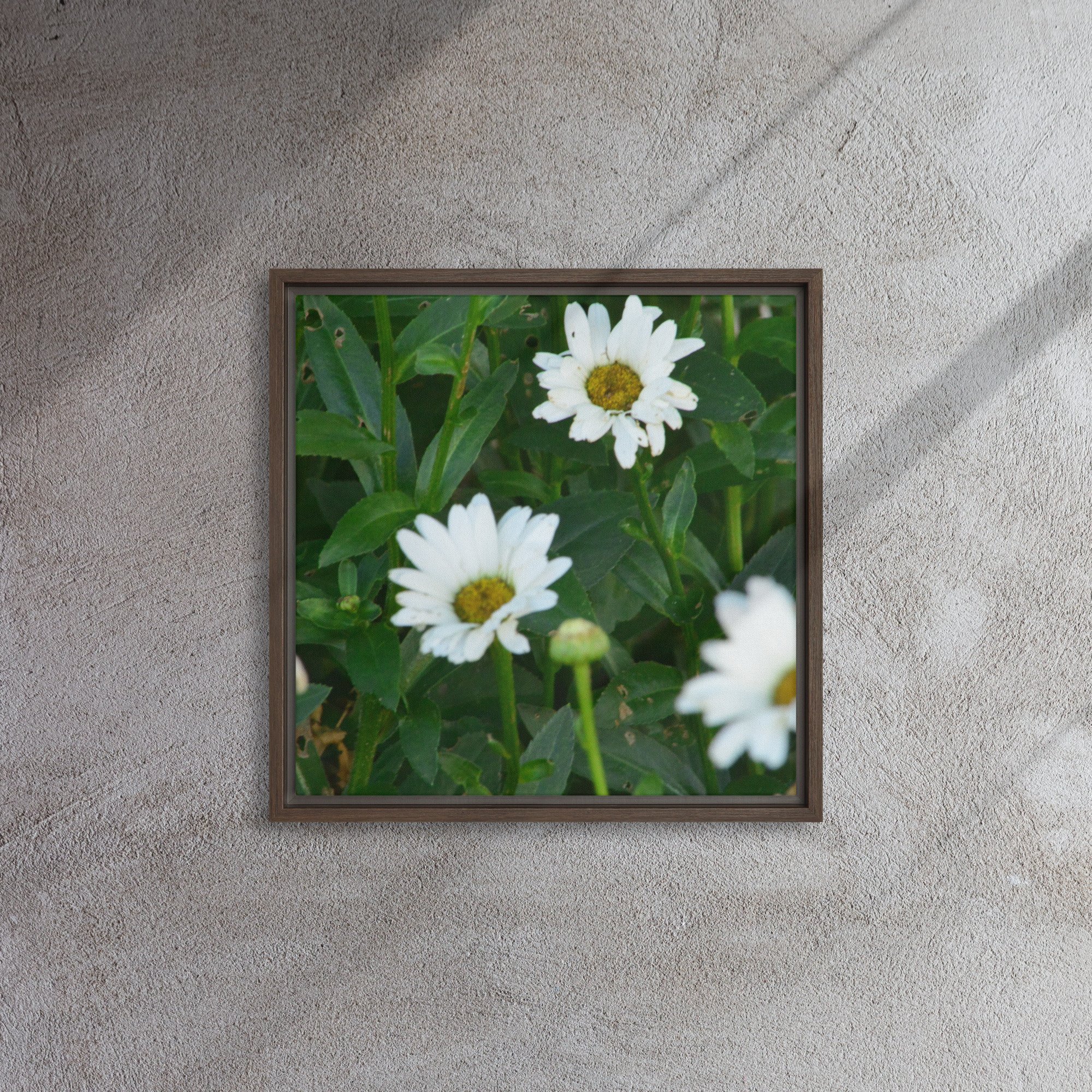 framed-canvas-(in)-brown-16x16-front-65ee91b7b49d7.jpg