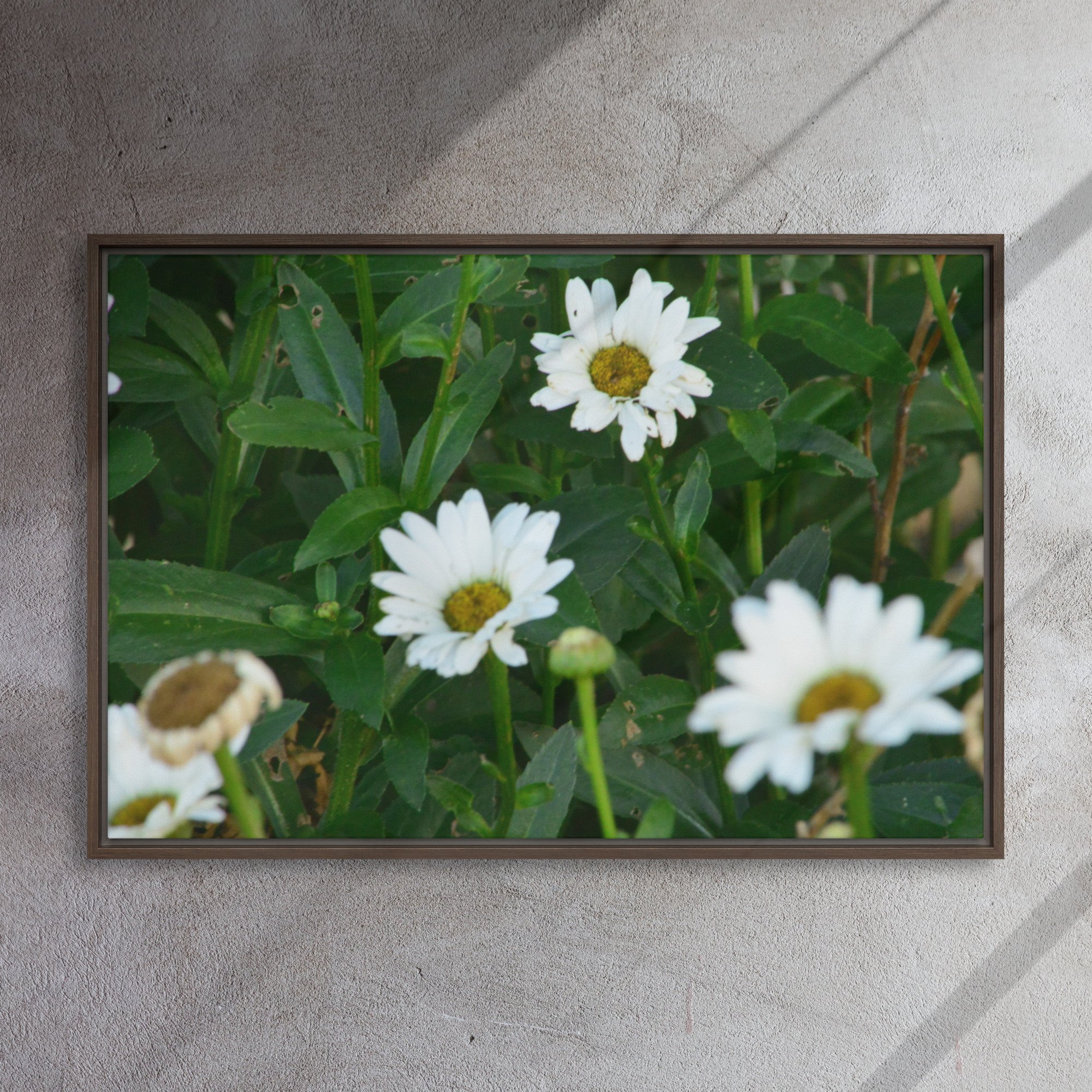 framed-canvas-(in)-brown-24x36-front-65ee91b7b4aca.jpg