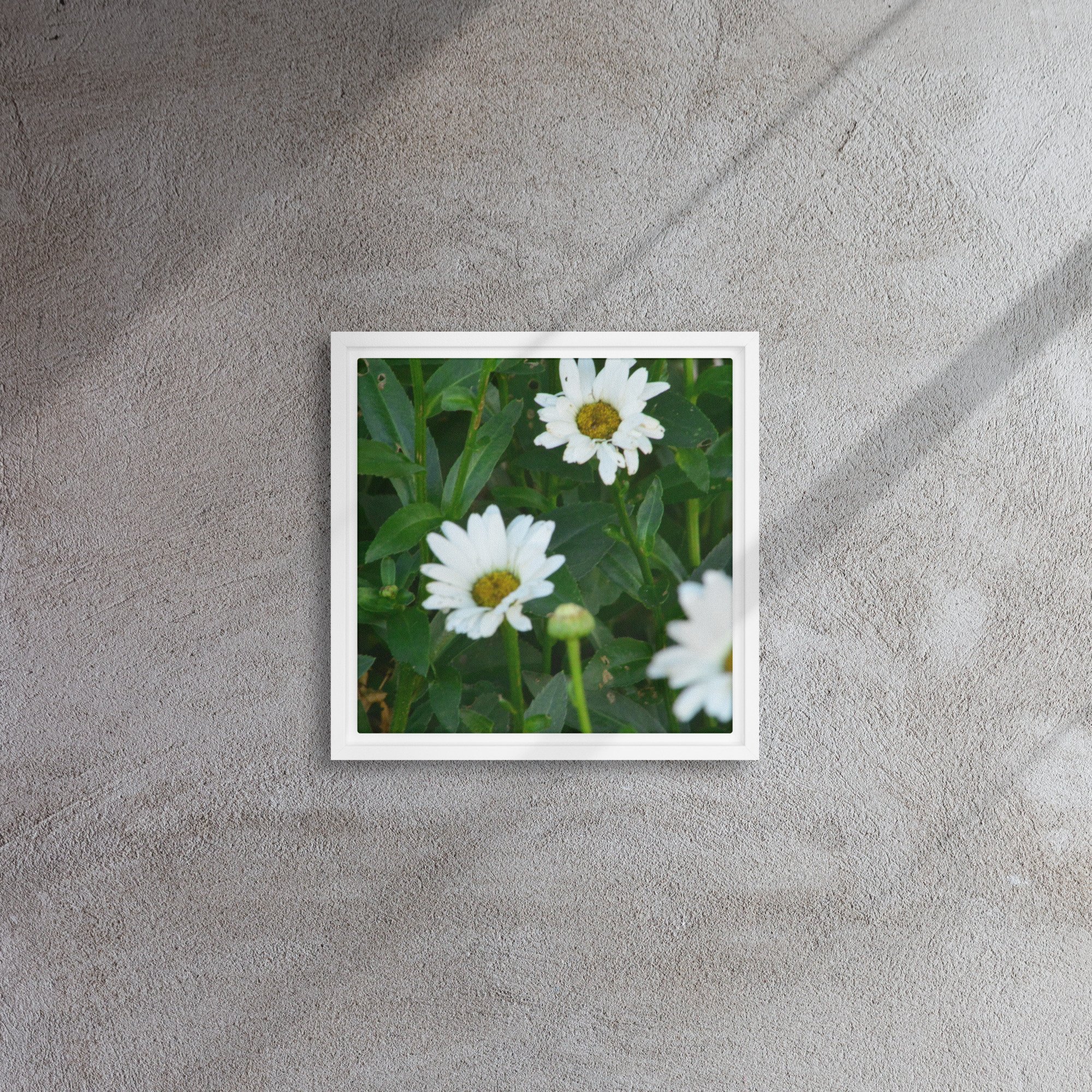 framed-canvas-(in)-white-12x12-front-65ee91b7b4b12.jpg
