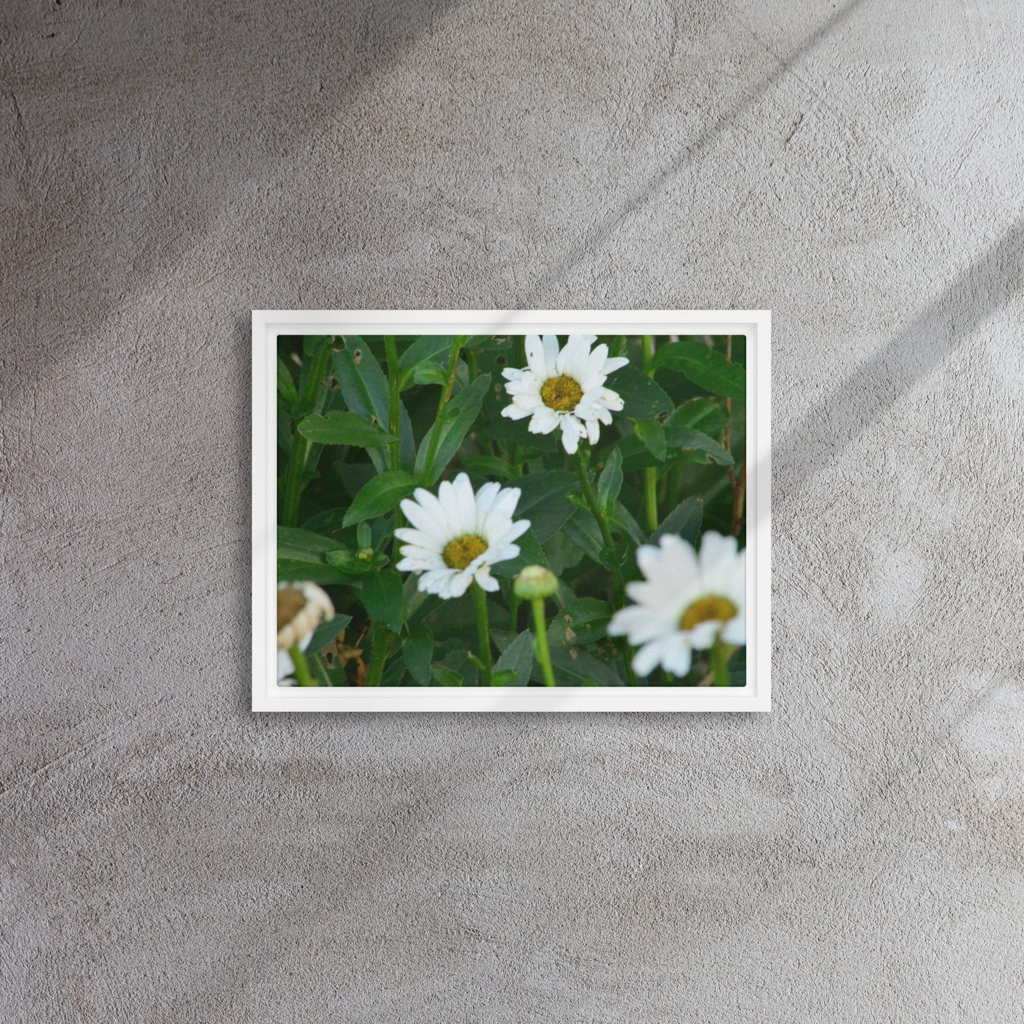 framed-canvas-(in)-white-12x16-front-65ee91b7b4b54.jpg