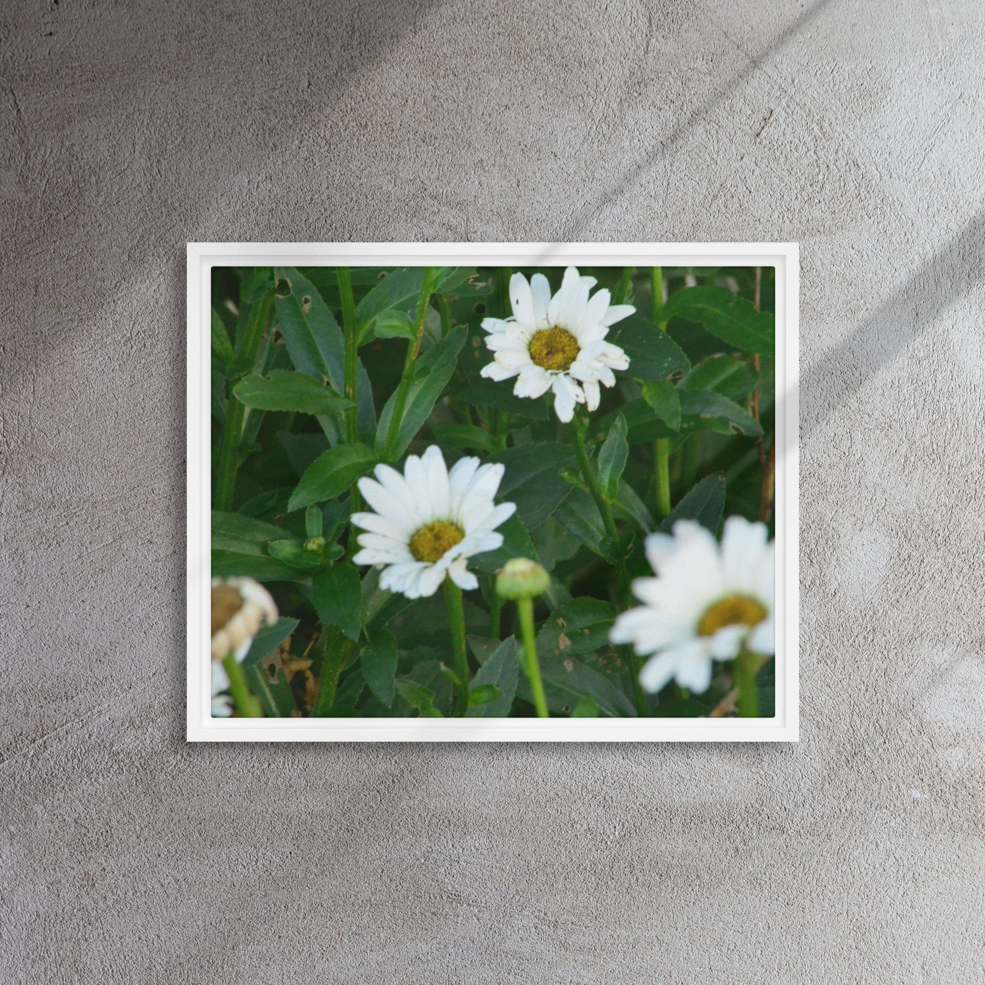 framed-canvas-(in)-white-16x20-front-65ee91b7b4bd1.jpg