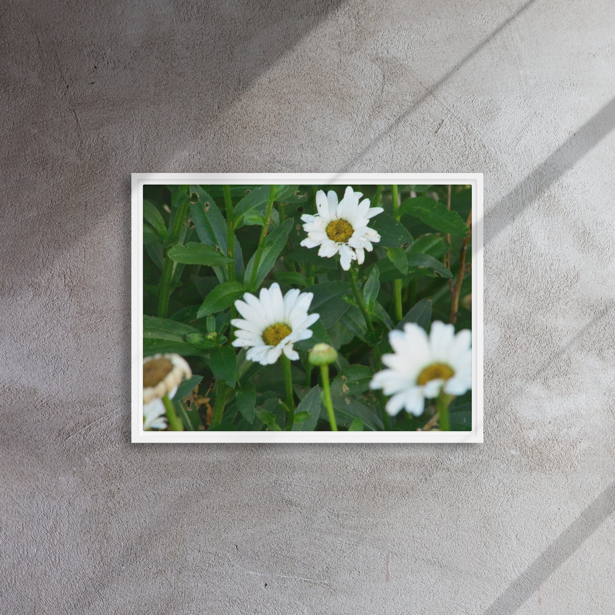 framed-canvas-(in)-white-18x24-front-65ee91b7b4c10.jpg