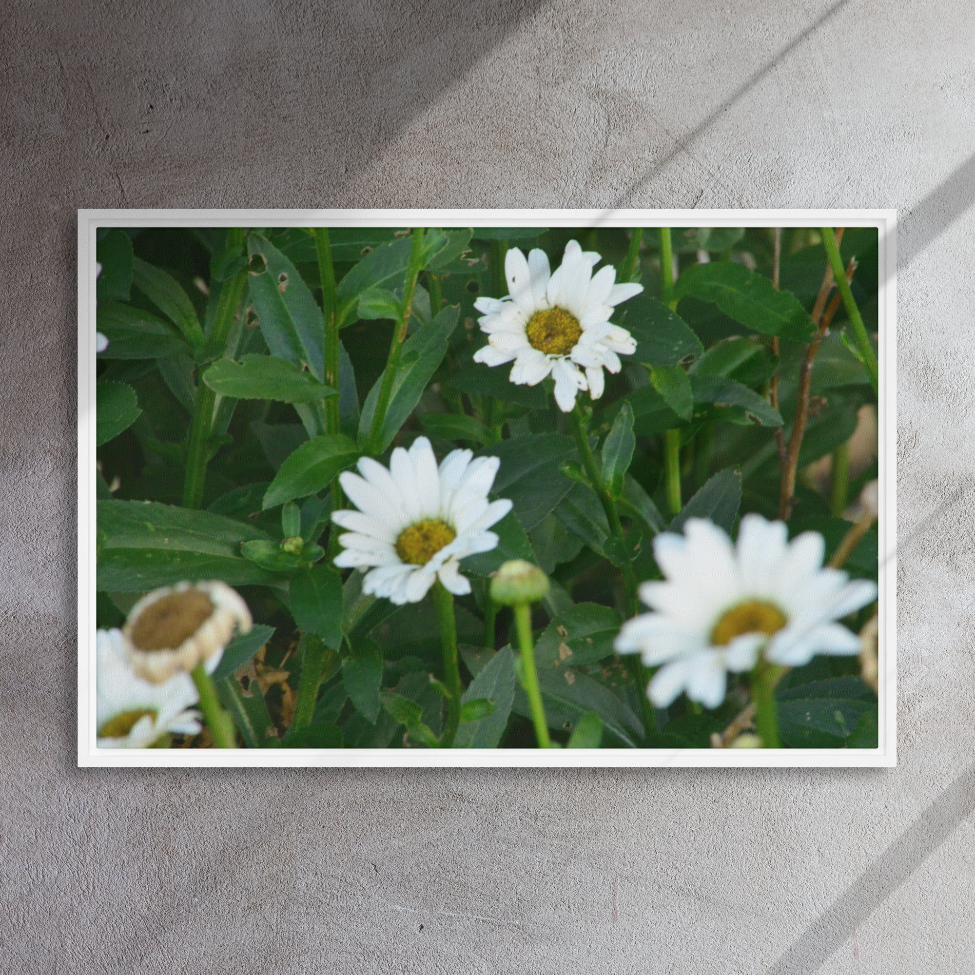 framed-canvas-(in)-white-24x36-front-65ee91b7b4c4f.jpg