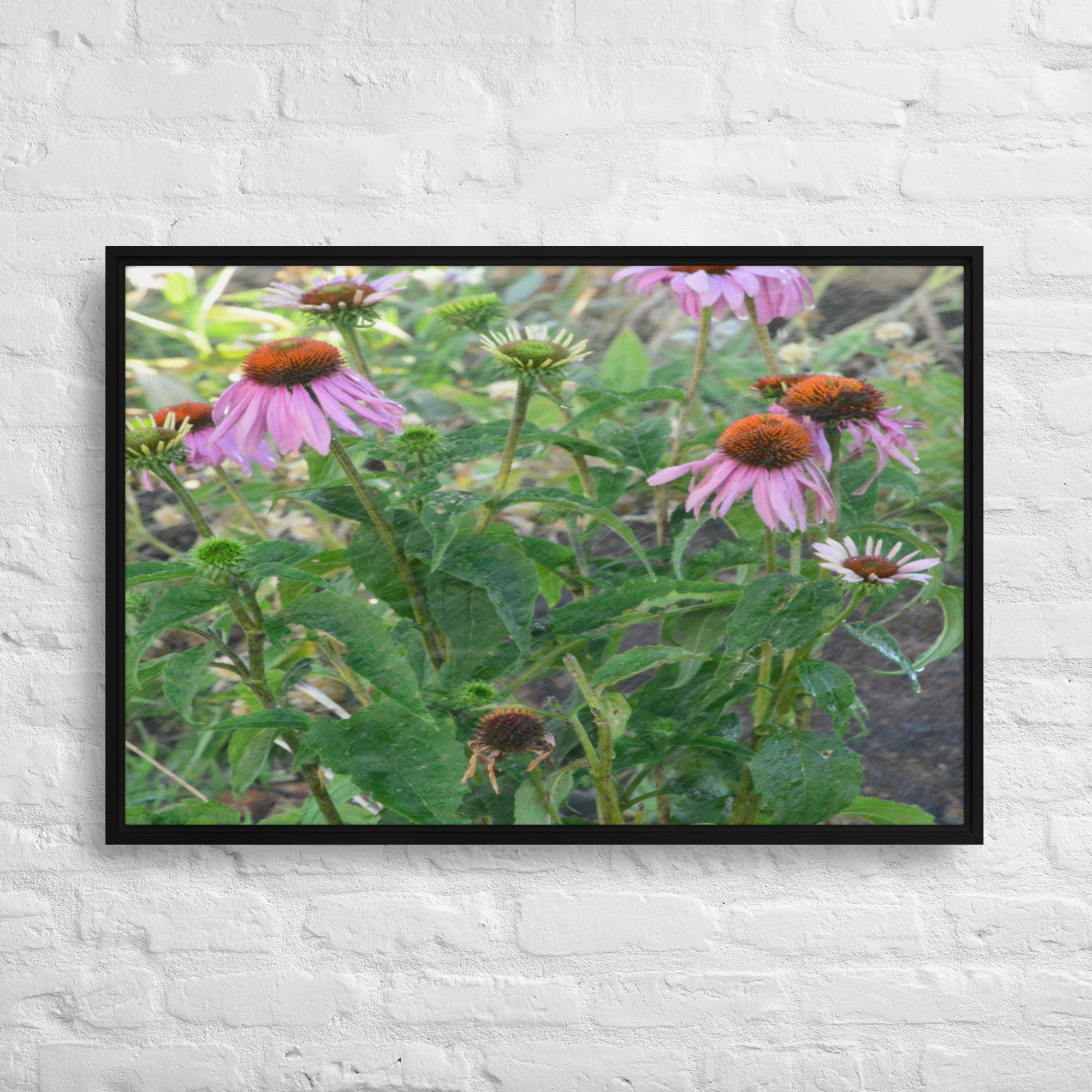 framed-canvas-(in)-black-24x36-front-65ee920154d0b.jpg