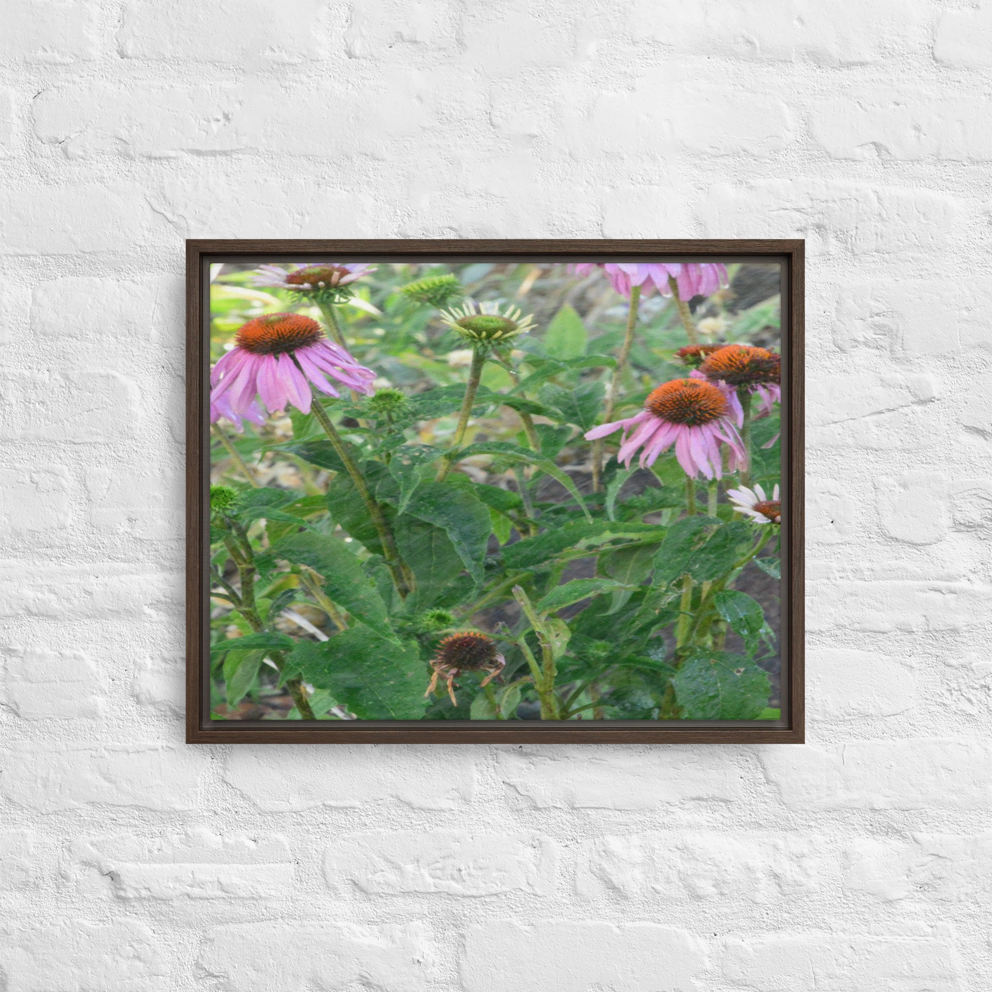 framed-canvas-(in)-brown-16x20-front-65ee920156220.jpg