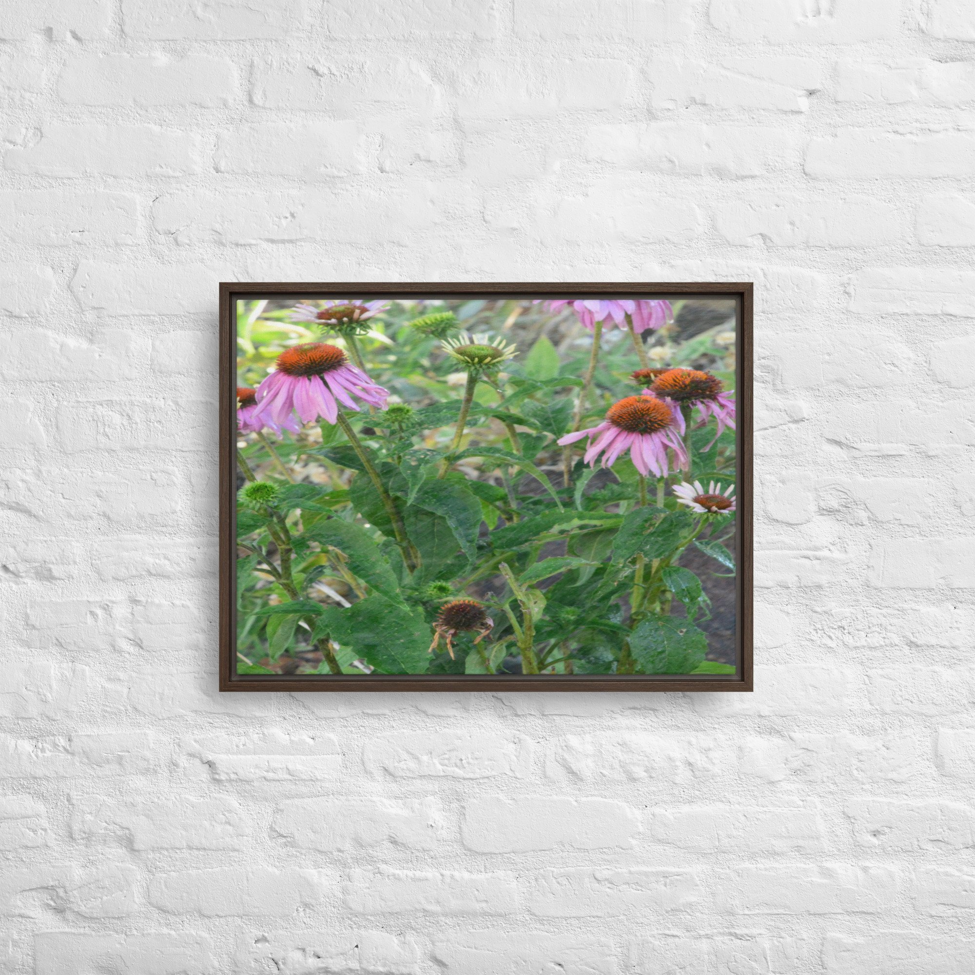 framed-canvas-(in)-brown-18x24-front-65ee920156265.jpg
