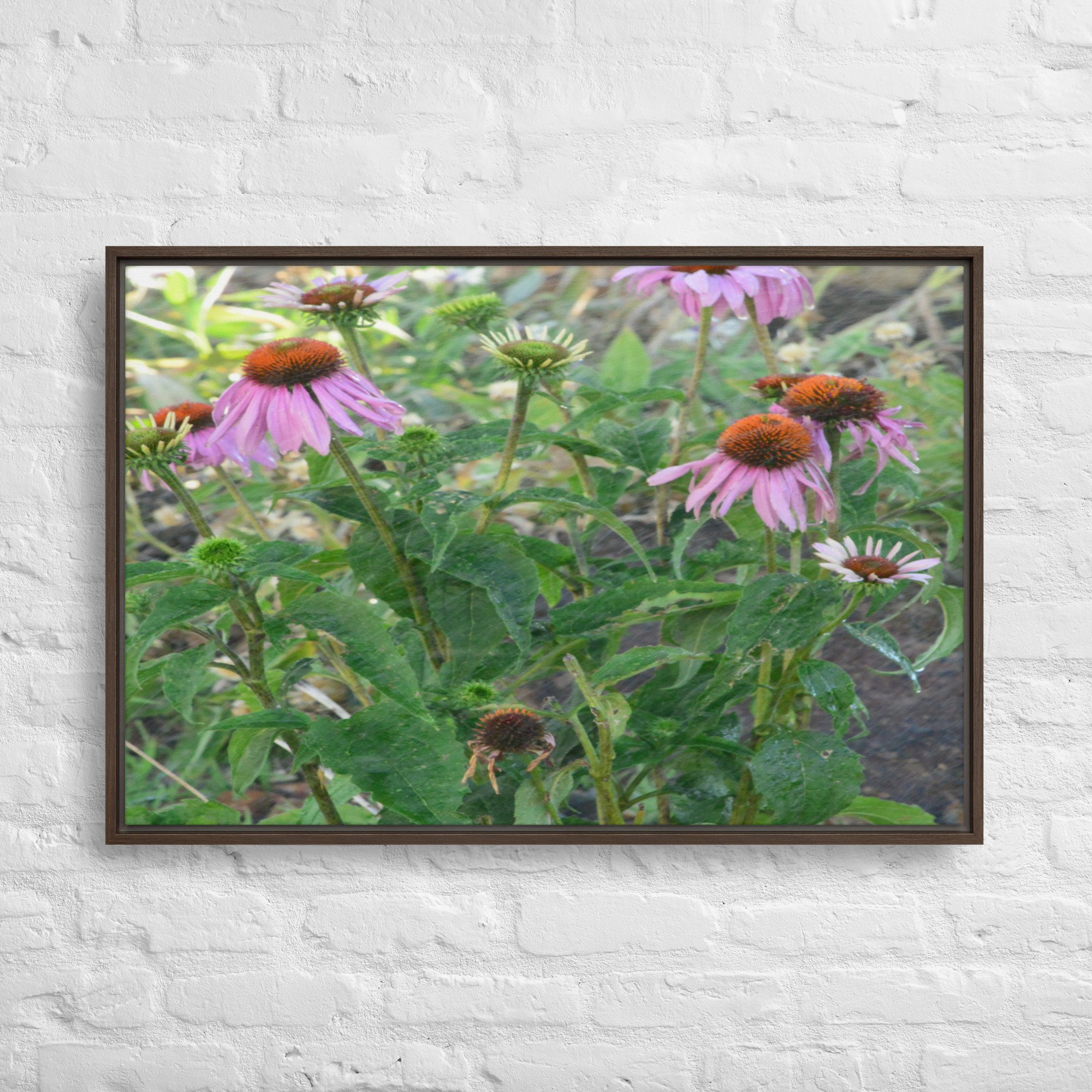 framed-canvas-(in)-brown-24x36-front-65ee9201562a8.jpg