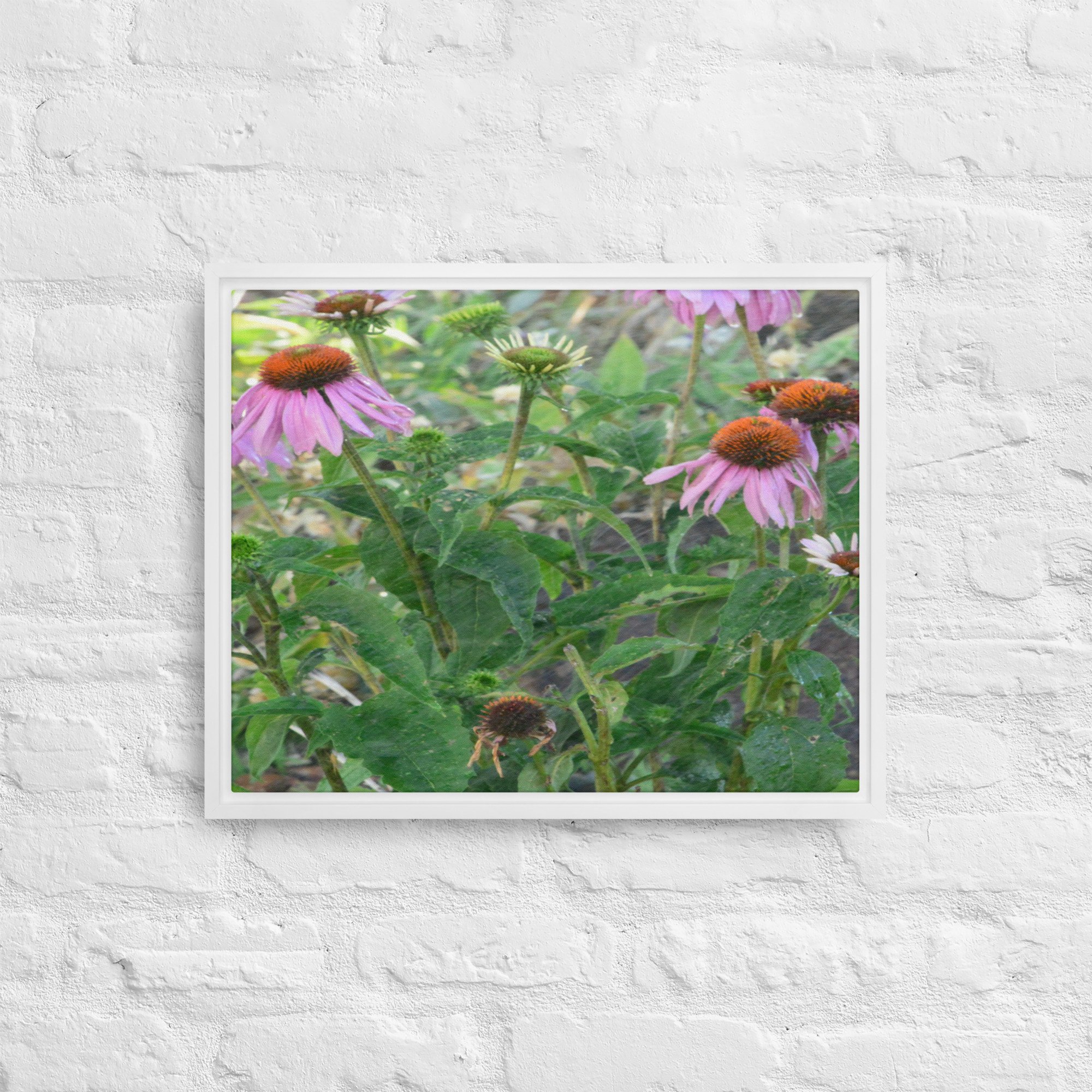 framed-canvas-(in)-white-16x20-front-65ee9201562ea.jpg