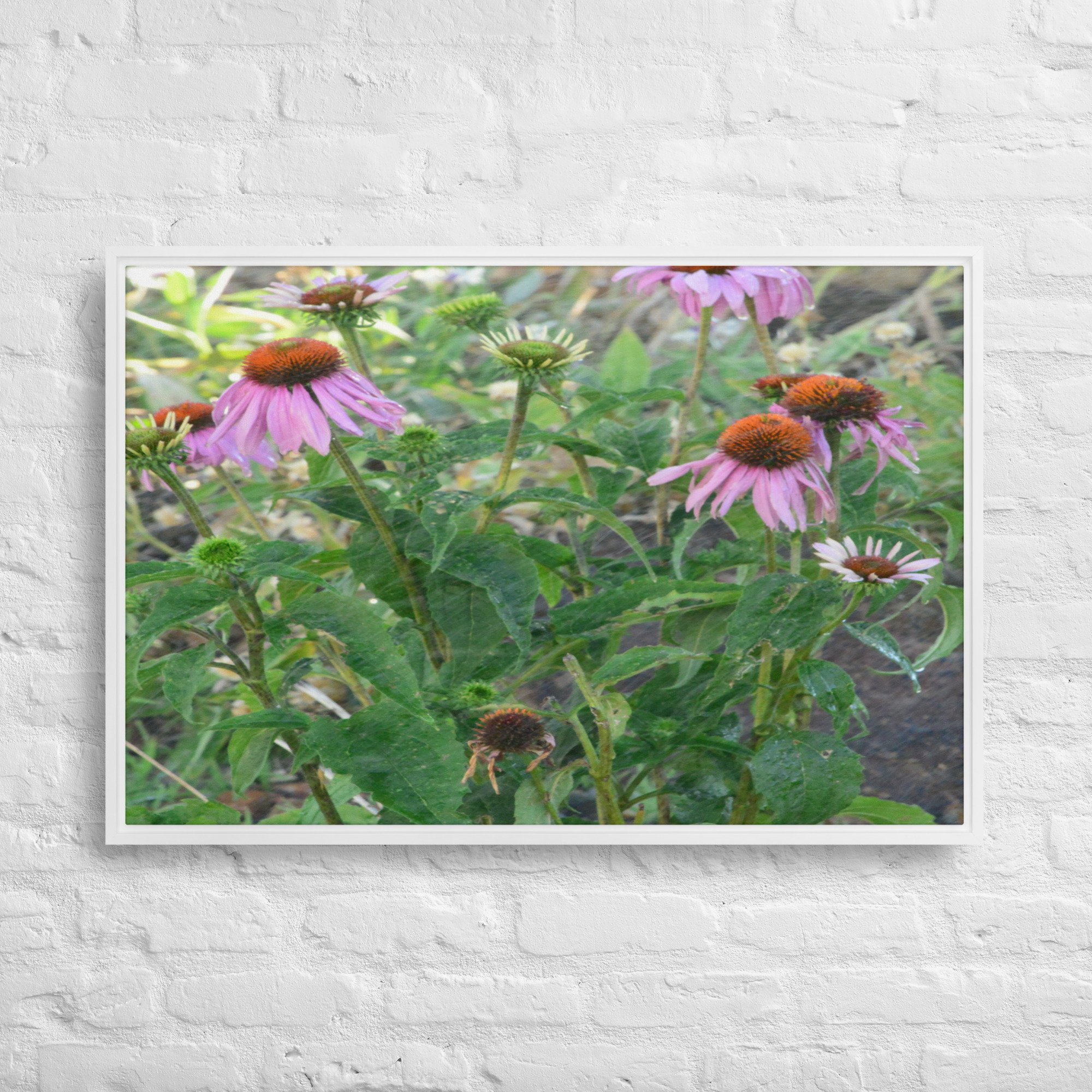 framed-canvas-(in)-white-24x36-front-65ee92015636b.jpg