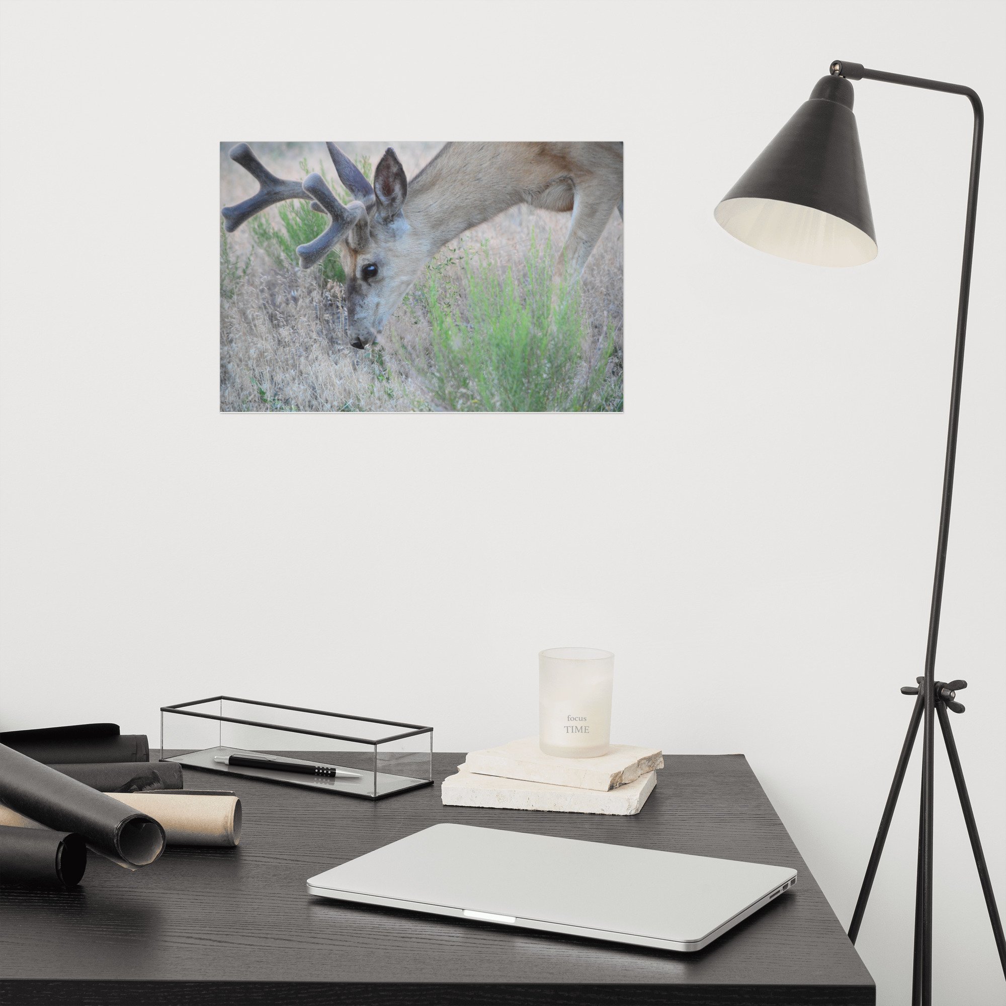 enhanced-matte-paper-poster-(in)-12x18-front-65ef857dc791f.jpg