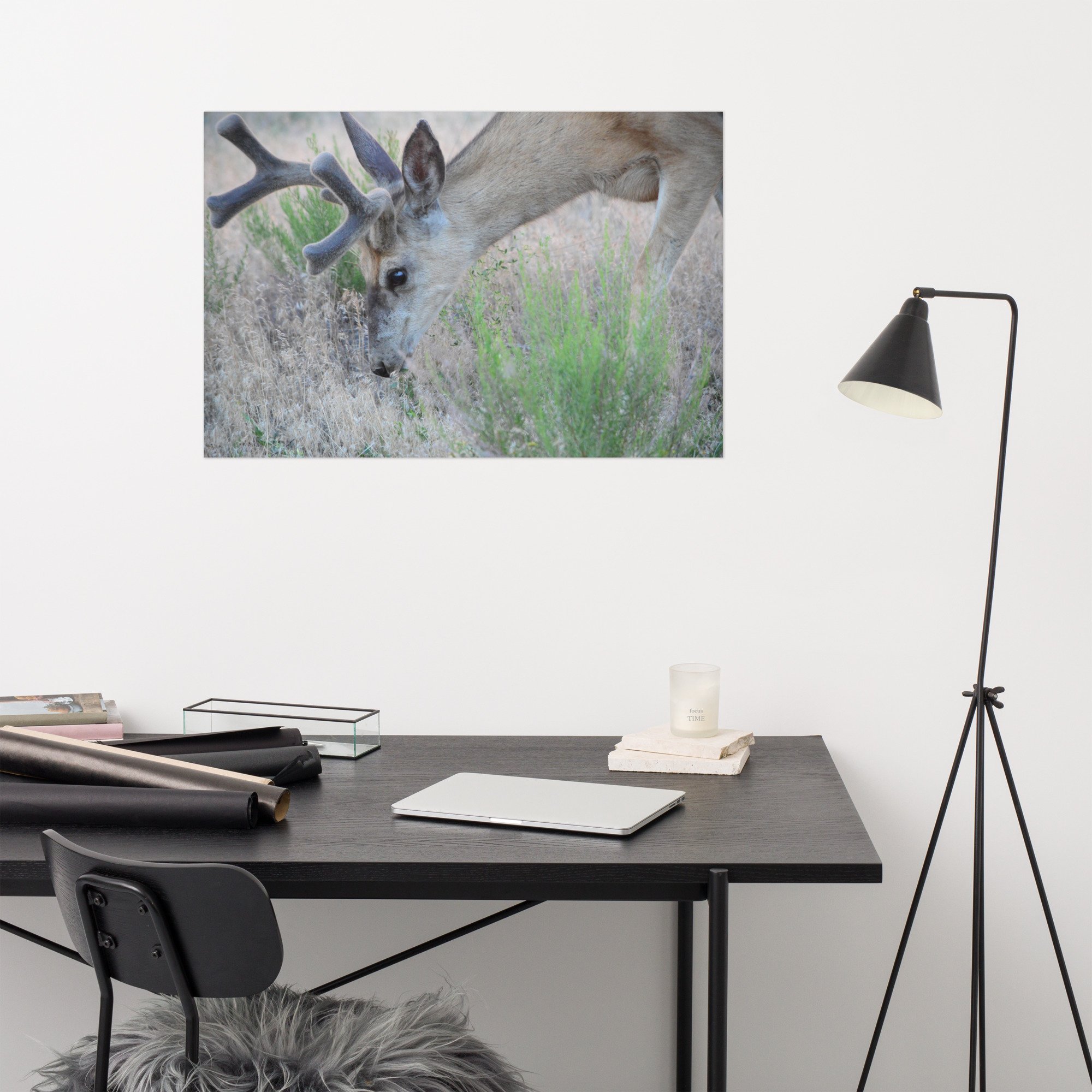 enhanced-matte-paper-poster-(in)-24x36-front-65ef857dc7dc1.jpg