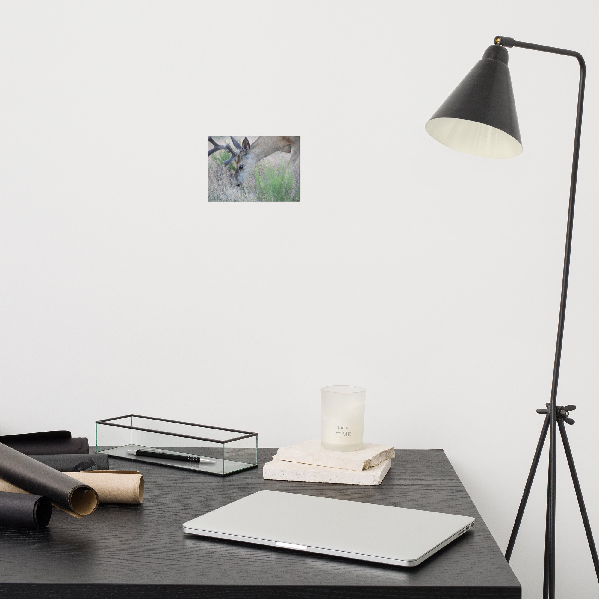 enhanced-matte-paper-poster-(in)-5x7-front-65ef857dc7e71.jpg
