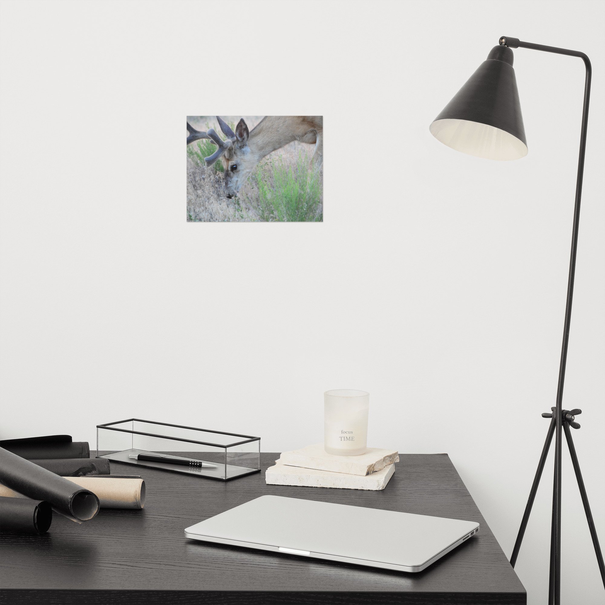 enhanced-matte-paper-poster-(in)-8x10-front-65ef857dc7f23.jpg