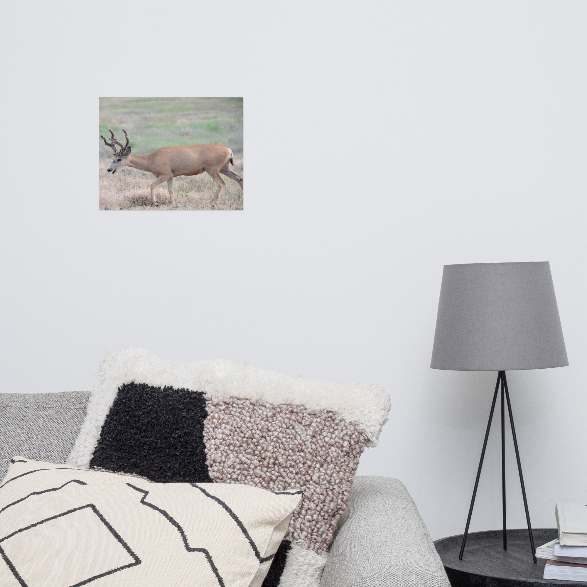 enhanced-matte-paper-poster-(in)-11x14-front-65ef85fc88a4a.jpg