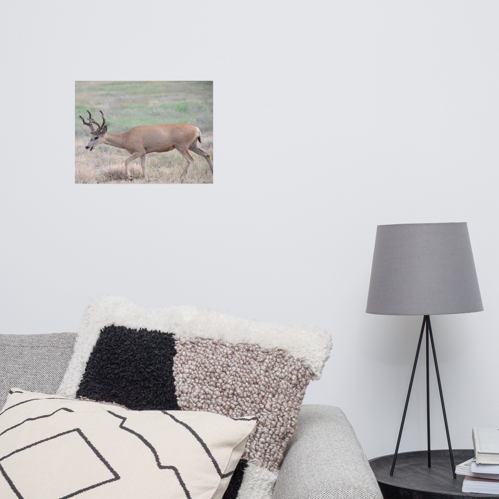 enhanced-matte-paper-poster-(in)-12x16-front-65ef85fc88b4e.jpg