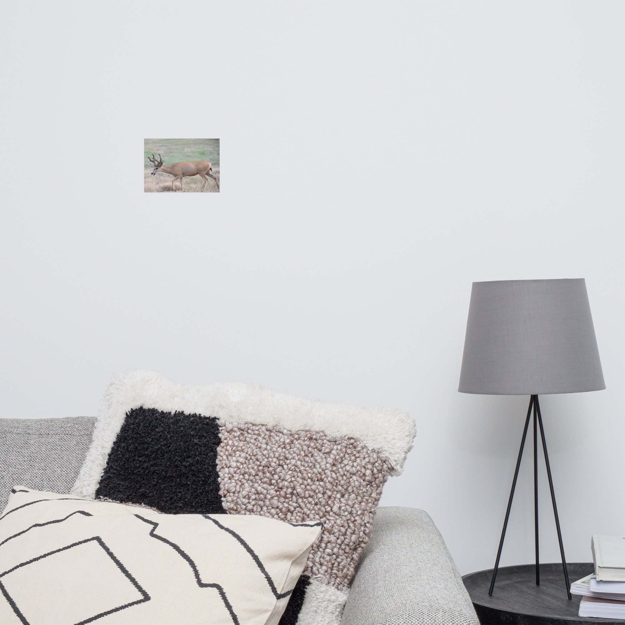 enhanced-matte-paper-poster-(in)-5x7-front-65ef85fc88fcf.jpg