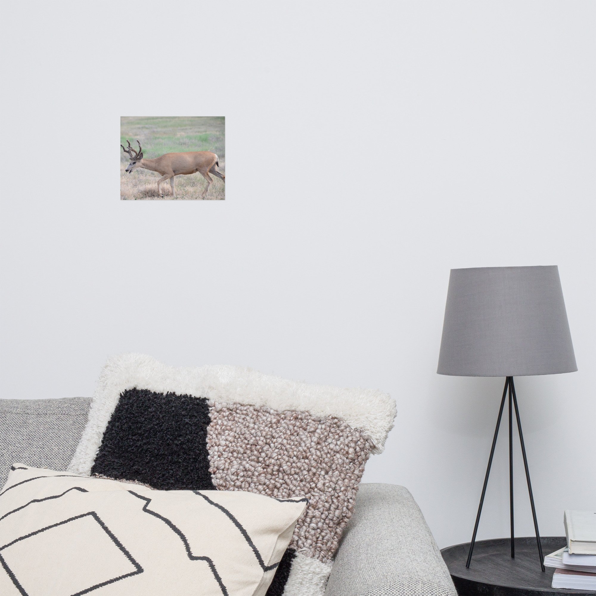 enhanced-matte-paper-poster-(in)-8x10-front-65ef85fc89091.jpg