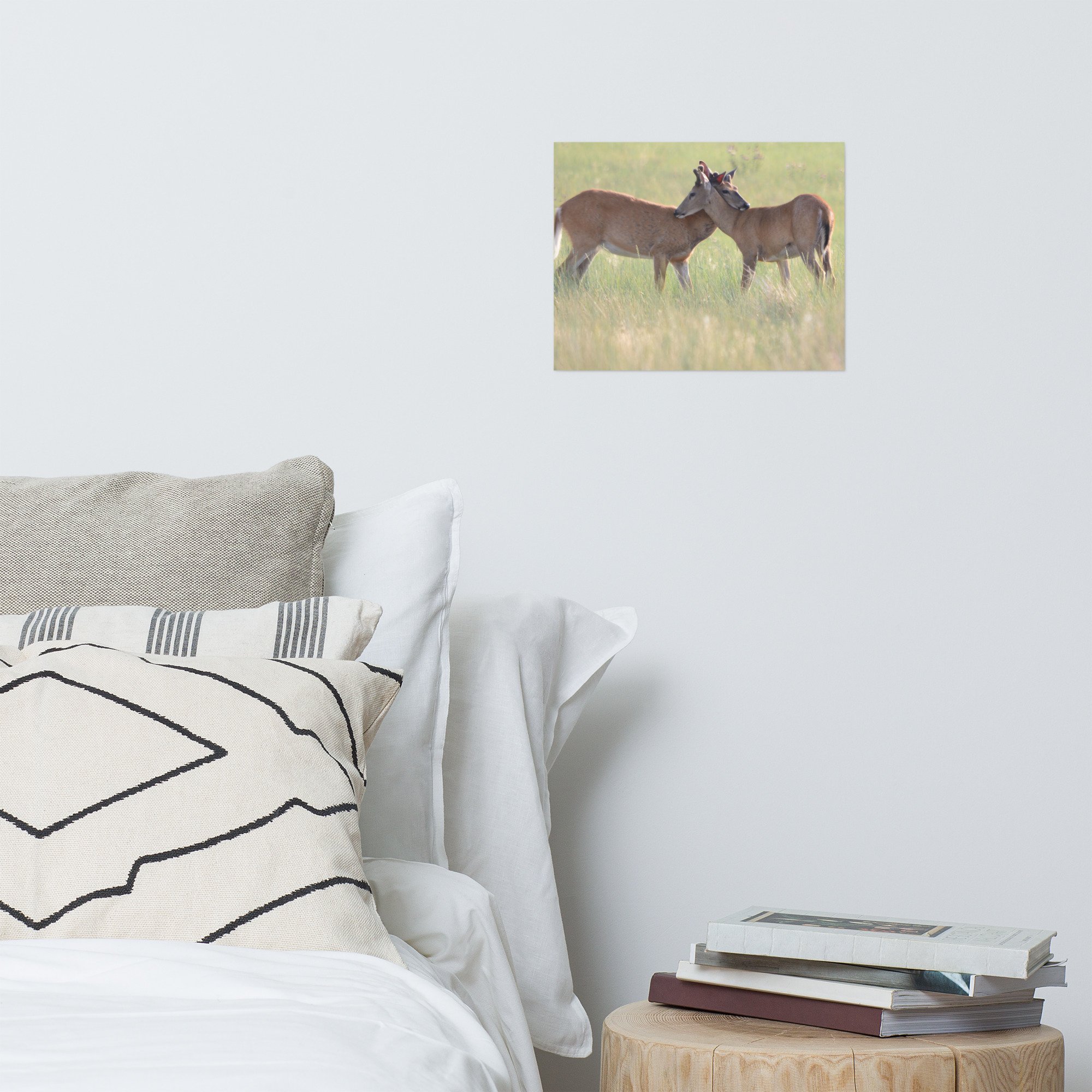 enhanced-matte-paper-poster-(in)-11x14-front-65ef8746985a6.jpg