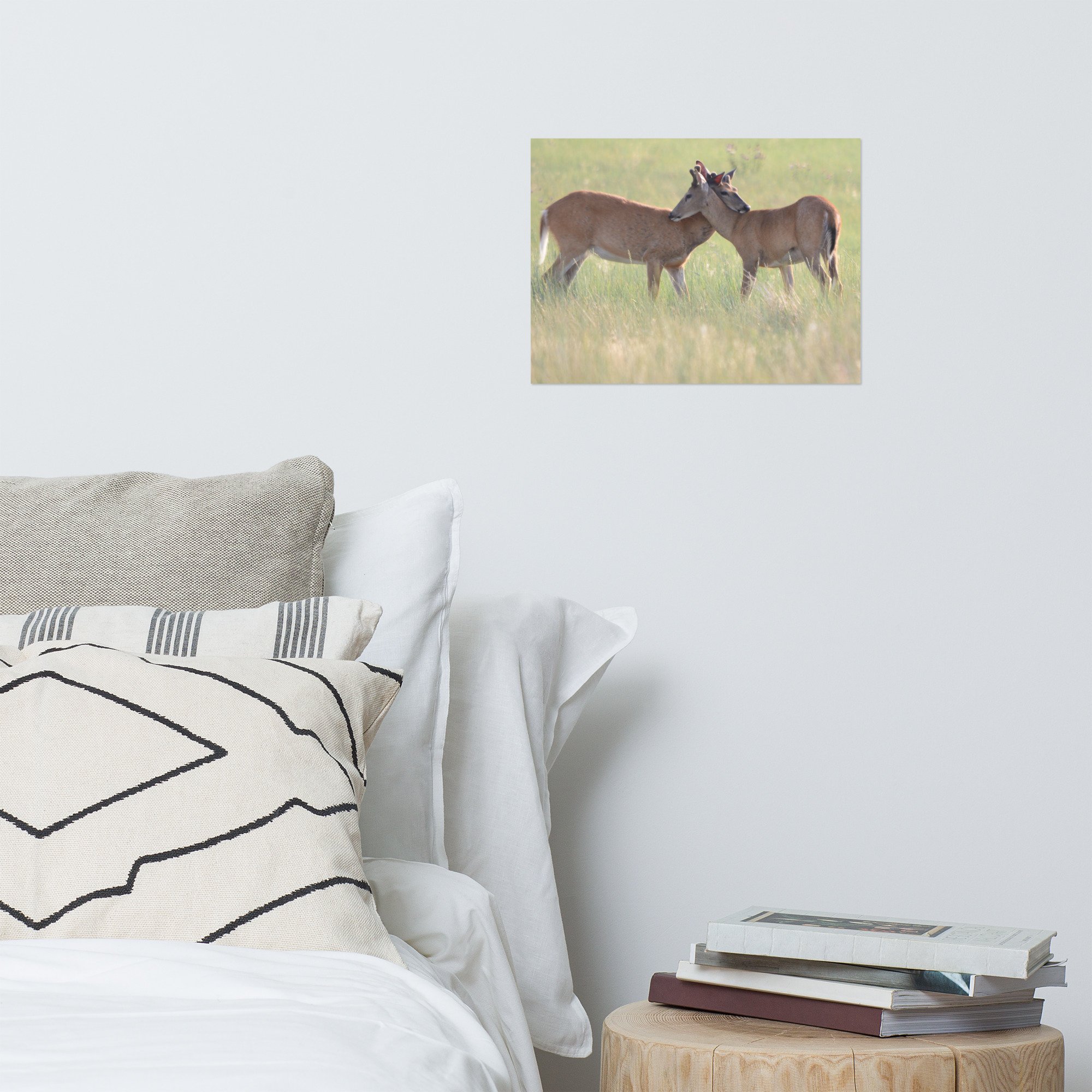 enhanced-matte-paper-poster-(in)-12x16-front-65ef87469873f.jpg
