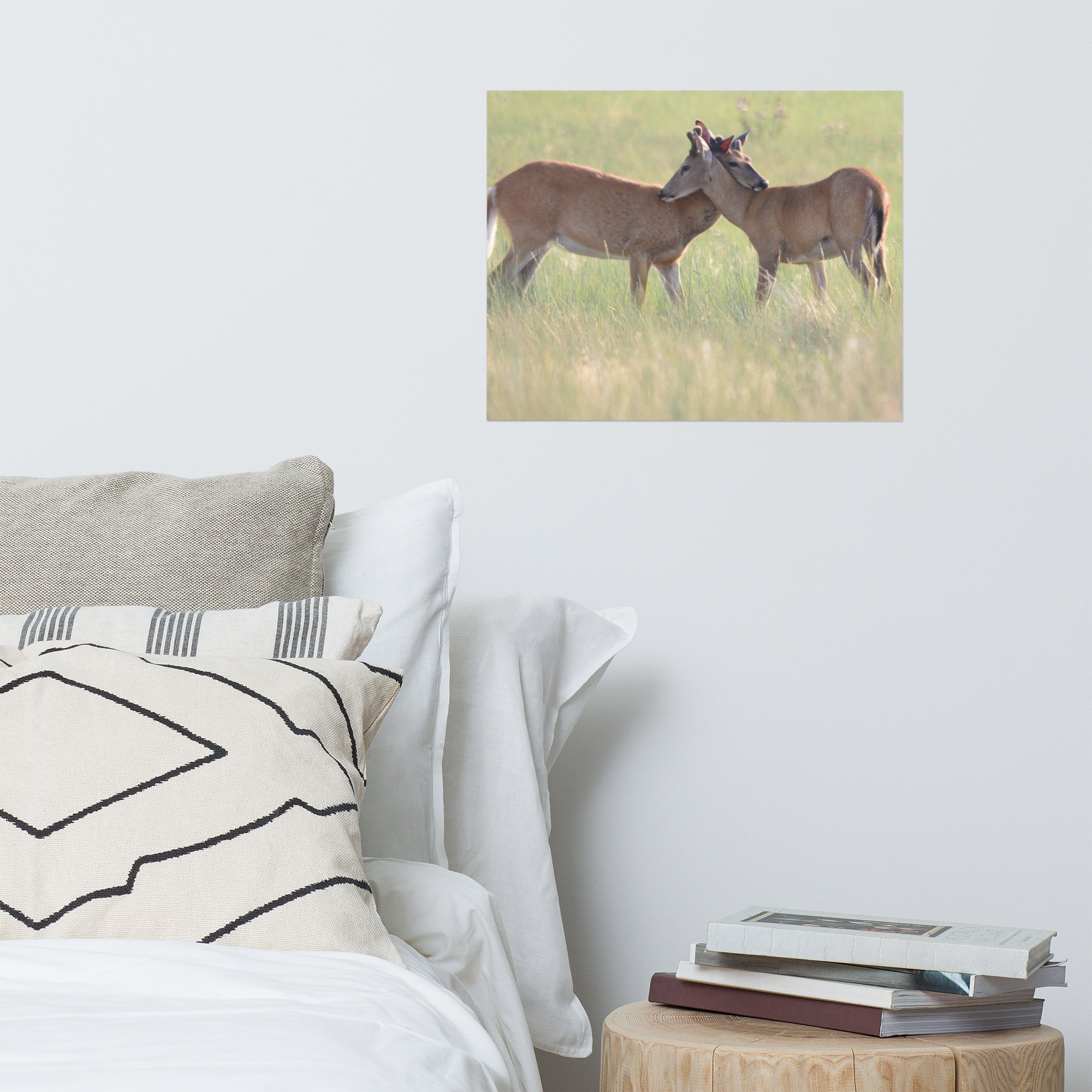 enhanced-matte-paper-poster-(in)-16x20-front-65ef87469899b.jpg