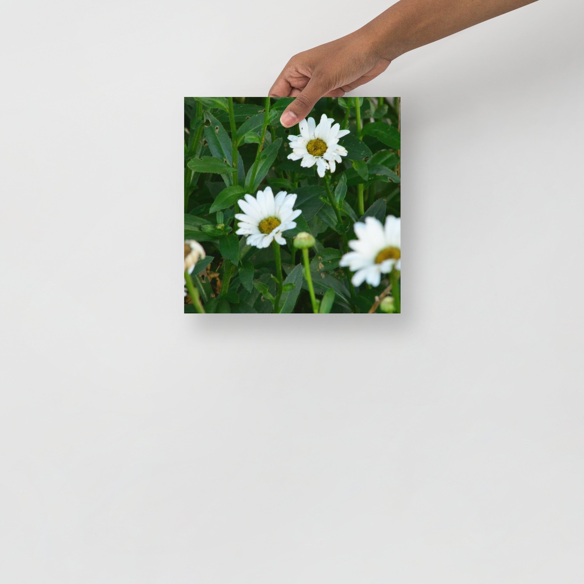 enhanced-matte-paper-poster-(in)-10x10-front-65ef88ec7f190.jpg