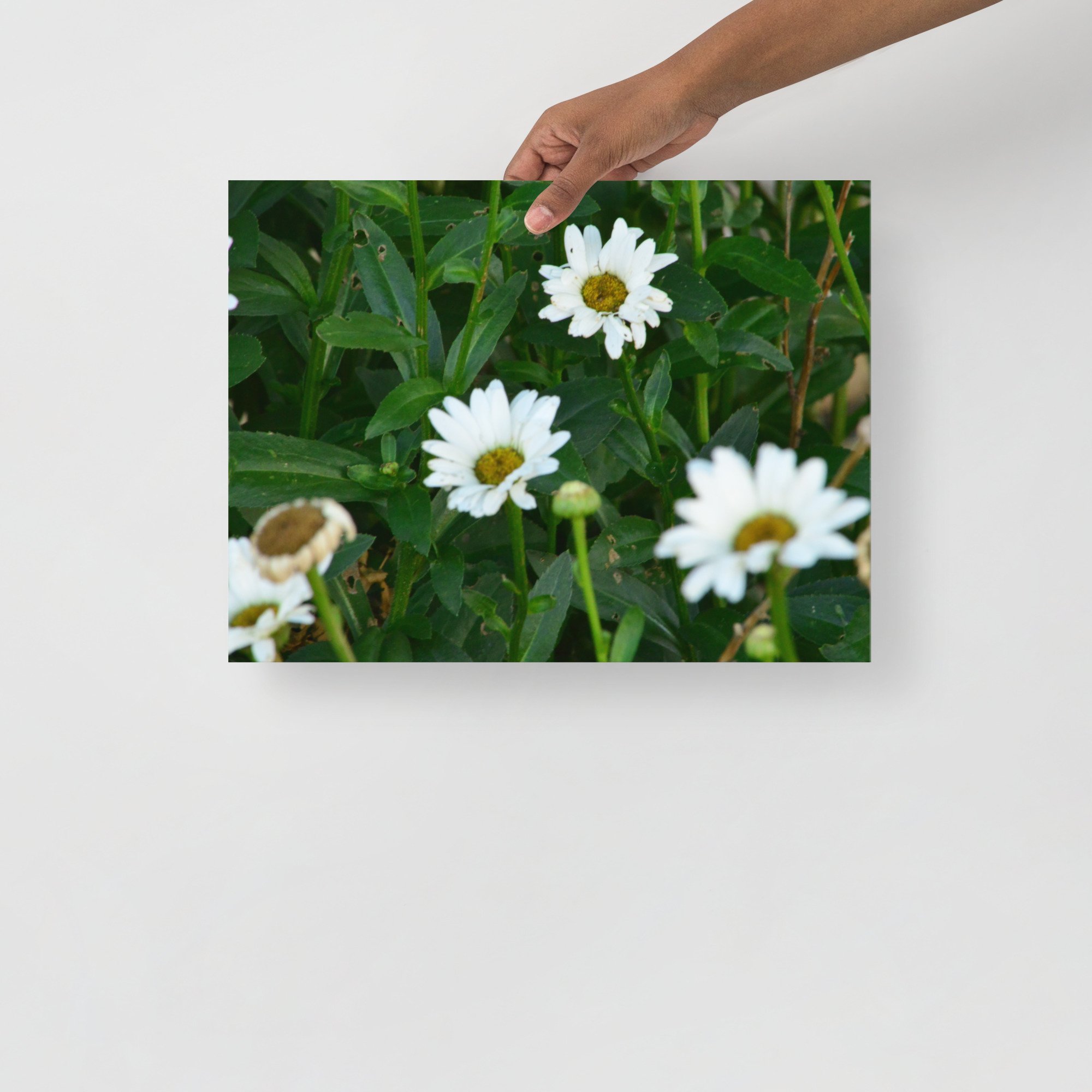 enhanced-matte-paper-poster-(in)-12x16-front-65ef88ec7f3f8.jpg