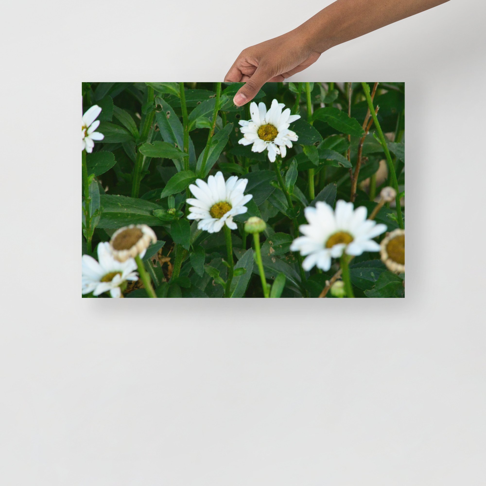 enhanced-matte-paper-poster-(in)-12x18-front-65ef88ec7f4b5.jpg