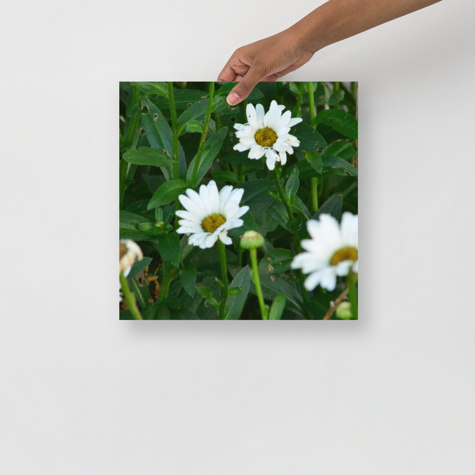 enhanced-matte-paper-poster-(in)-14x14-front-65ef88ec7f56d.jpg