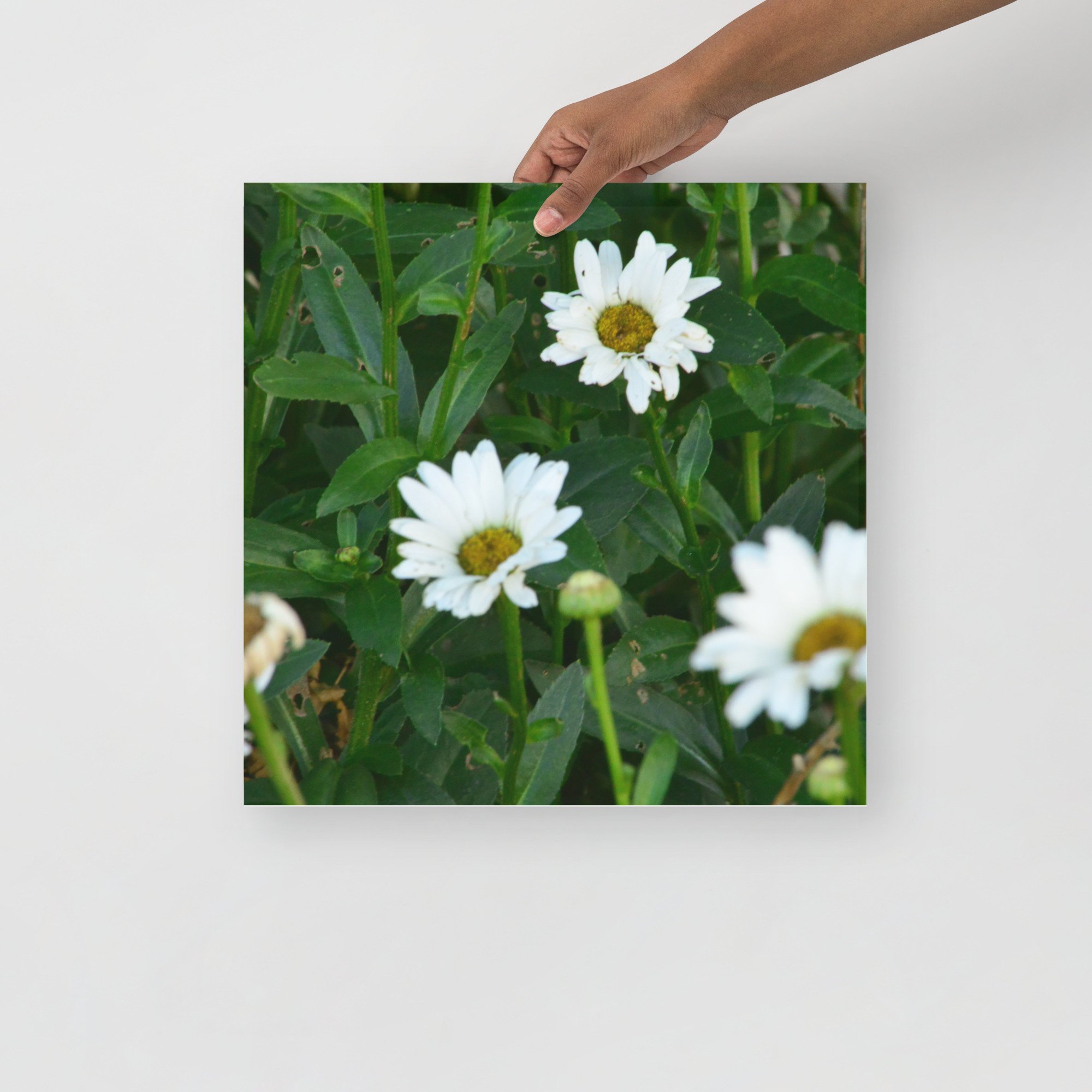 enhanced-matte-paper-poster-(in)-16x16-front-65ef88ec7f62a.jpg