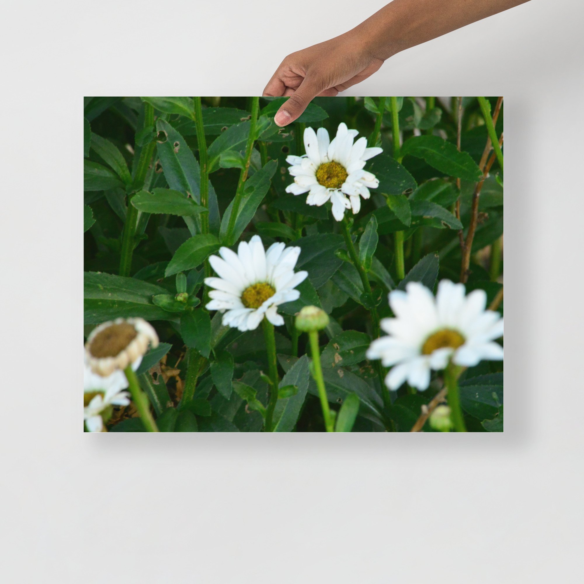 enhanced-matte-paper-poster-(in)-16x20-front-65ef88ec7f6e0.jpg