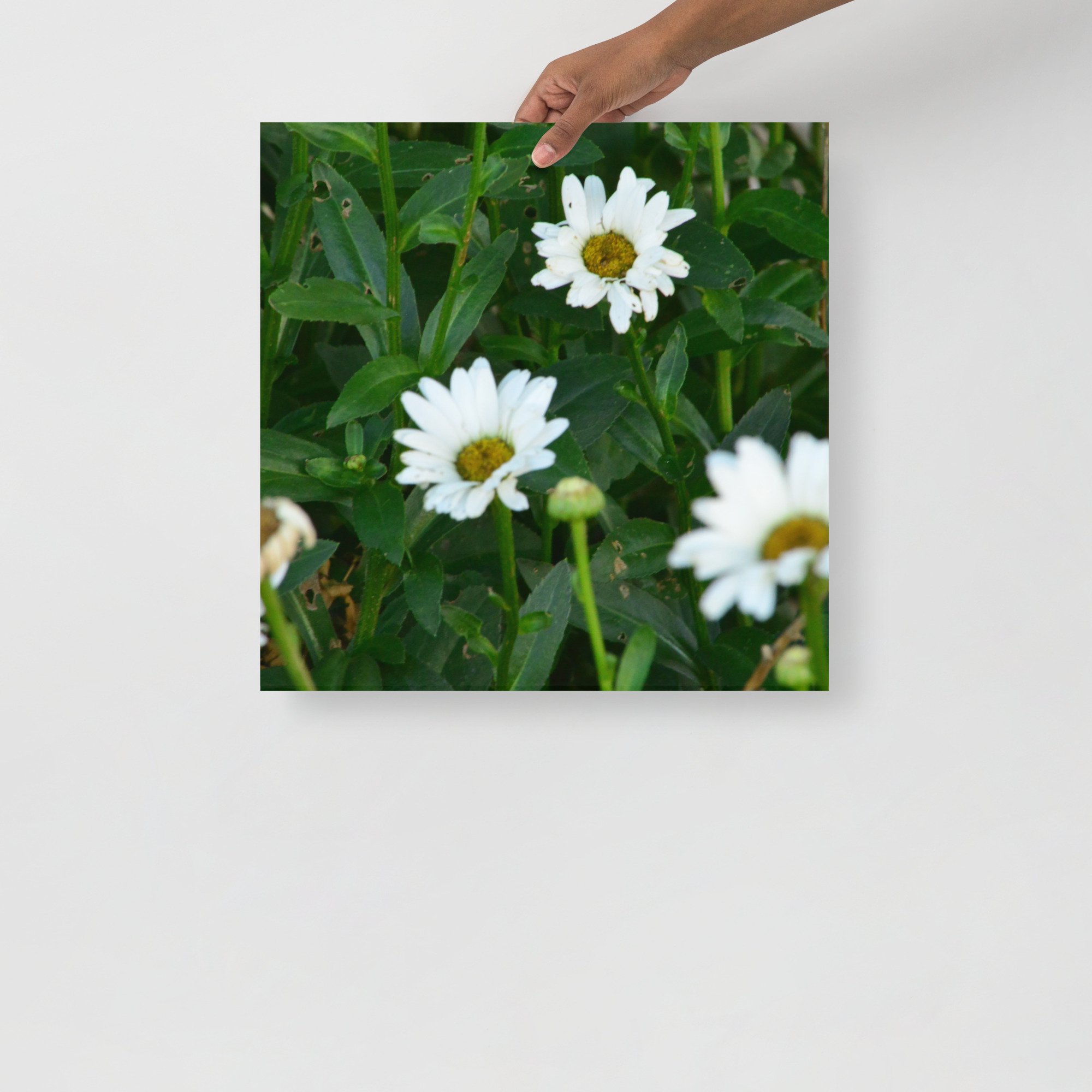 enhanced-matte-paper-poster-(in)-18x18-front-65ef88ec7f7ac.jpg