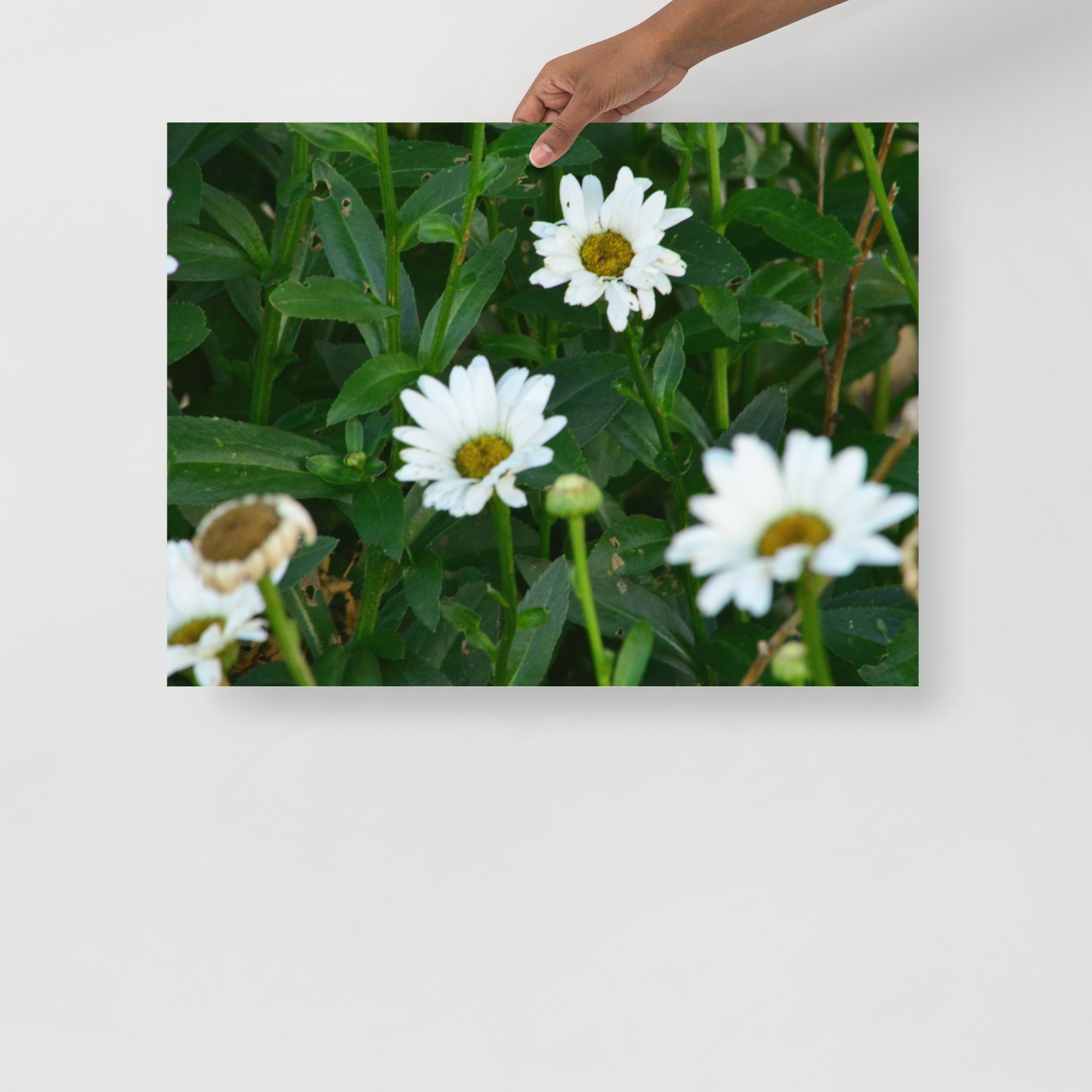 enhanced-matte-paper-poster-(in)-18x24-front-65ef88ec7f88a.jpg