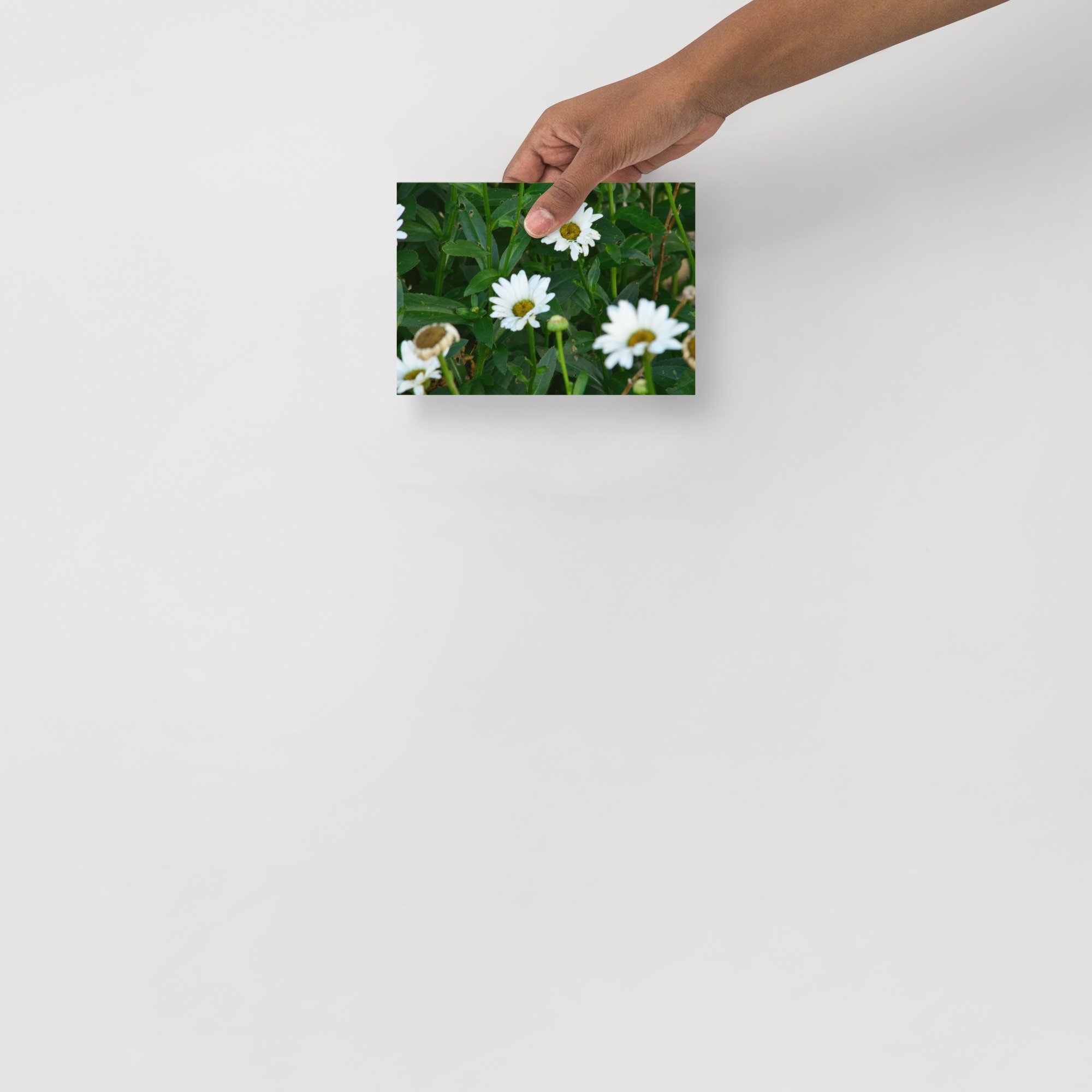 enhanced-matte-paper-poster-(in)-5x7-front-65ef88ec7fa93.jpg