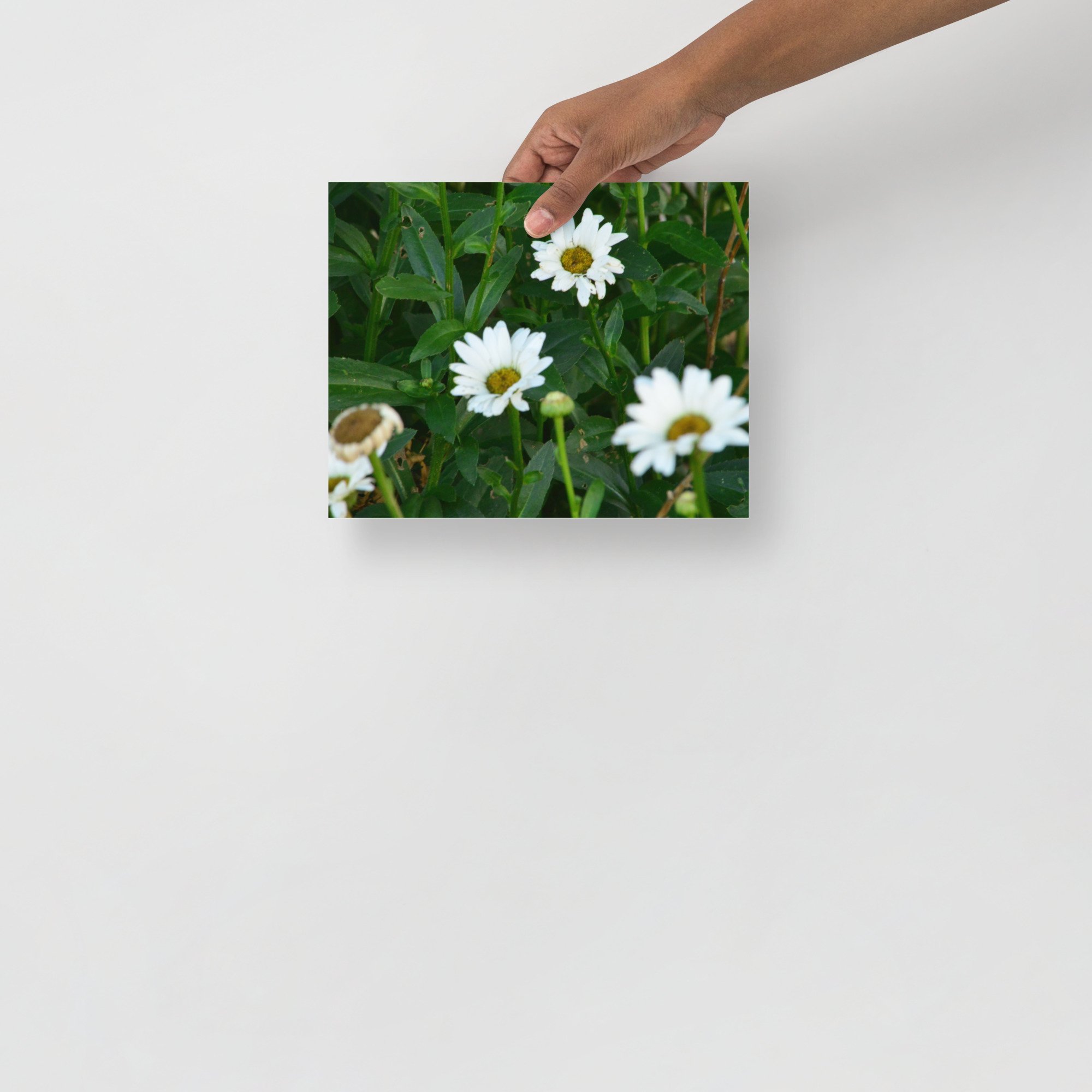 enhanced-matte-paper-poster-(in)-8x10-front-65ef88ec7fb5c.jpg
