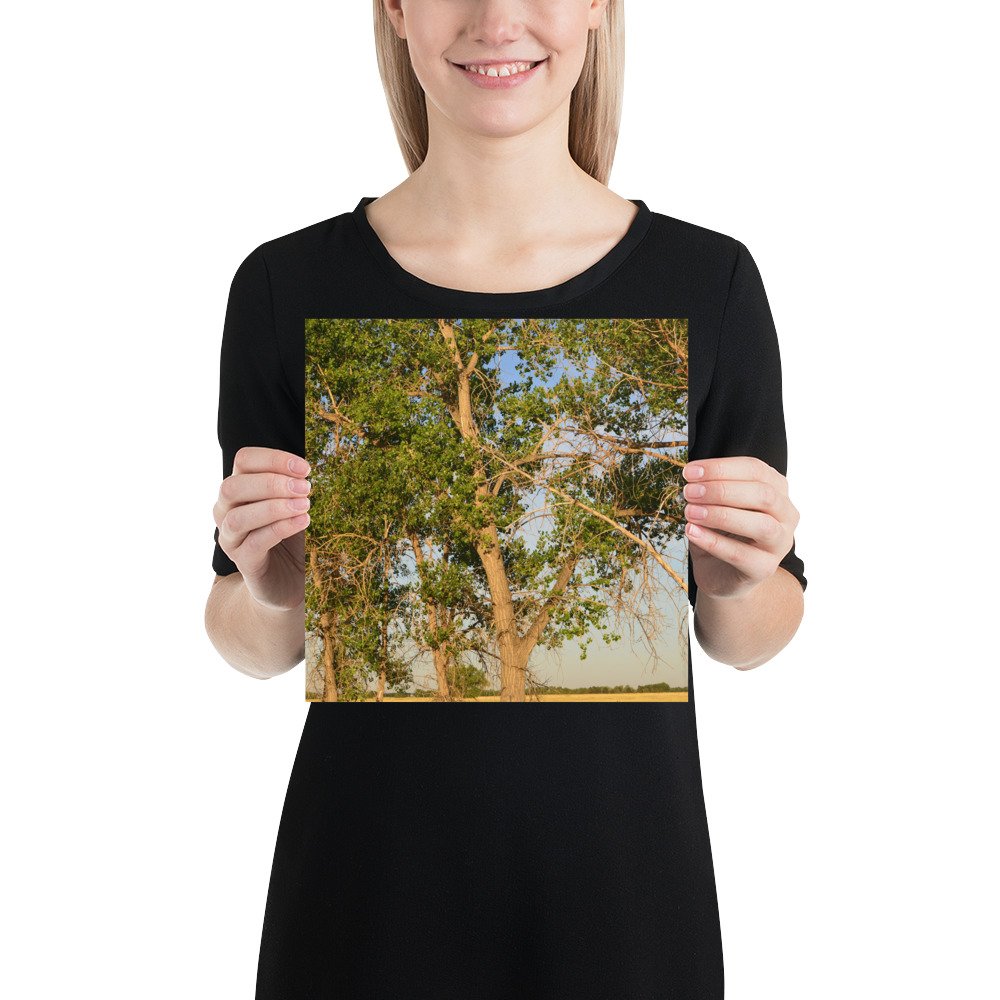 enhanced-matte-paper-poster-(in)-10x10-person-65ef8a0b347e1.jpg