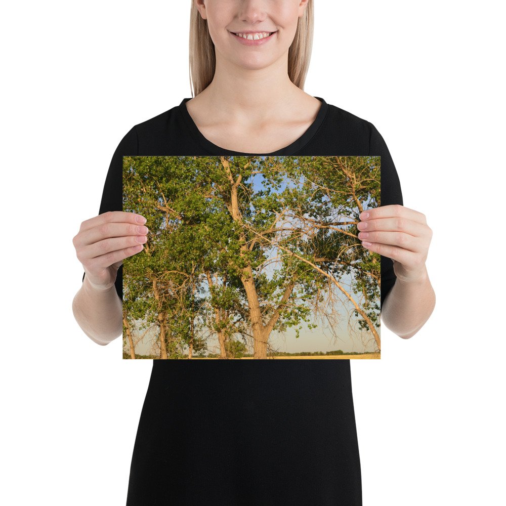 enhanced-matte-paper-poster-(in)-11x14-person-65ef8a0b348f9.jpg