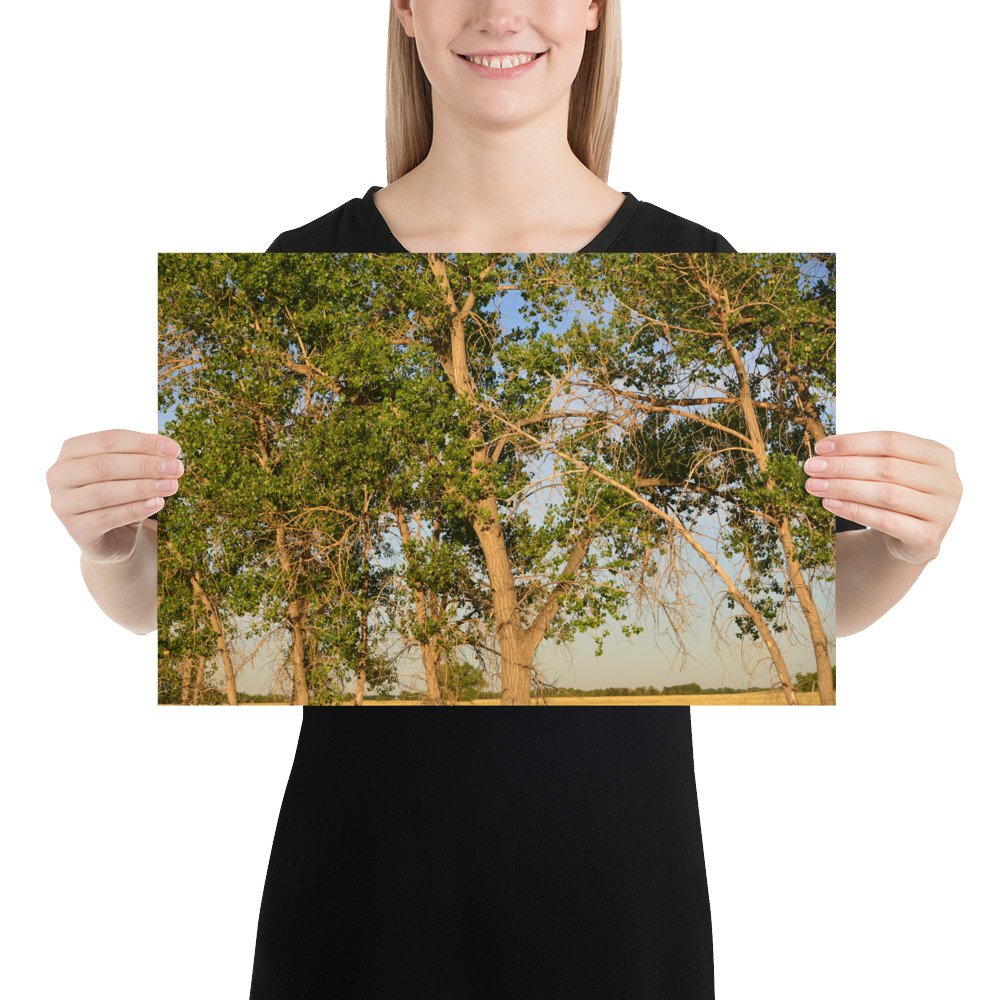 enhanced-matte-paper-poster-(in)-12x18-person-65ef8a0b34b73.jpg