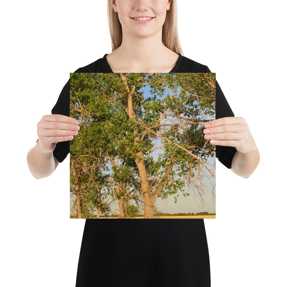 enhanced-matte-paper-poster-(in)-14x14-person-65ef8a0b34c2d.jpg