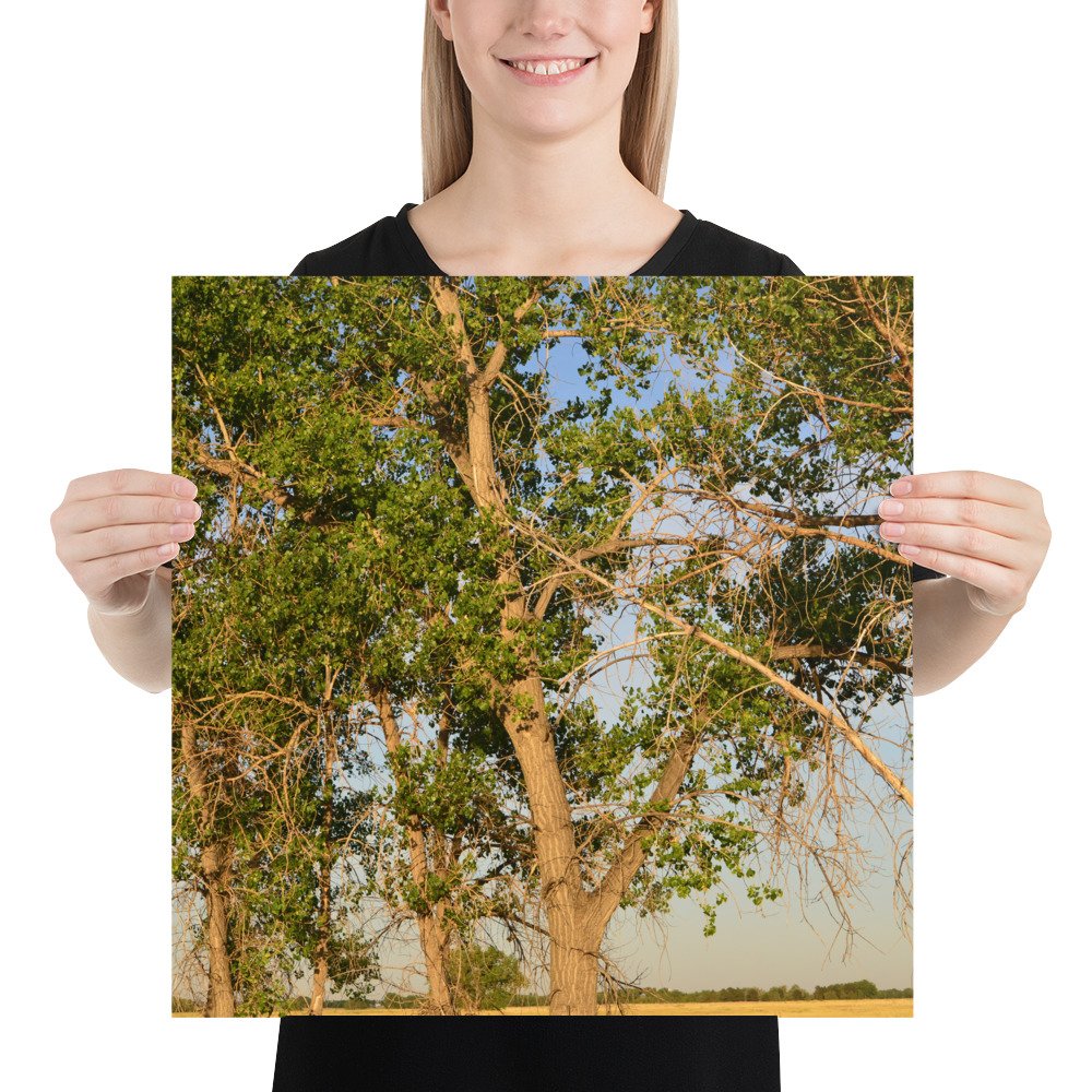 enhanced-matte-paper-poster-(in)-18x18-person-65ef8a0b34ec1.jpg