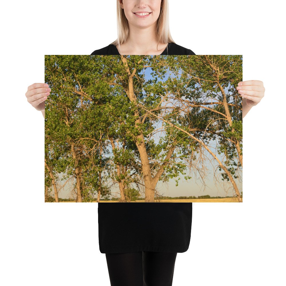 enhanced-matte-paper-poster-(in)-18x24-person-65ef8a0b34f87.jpg