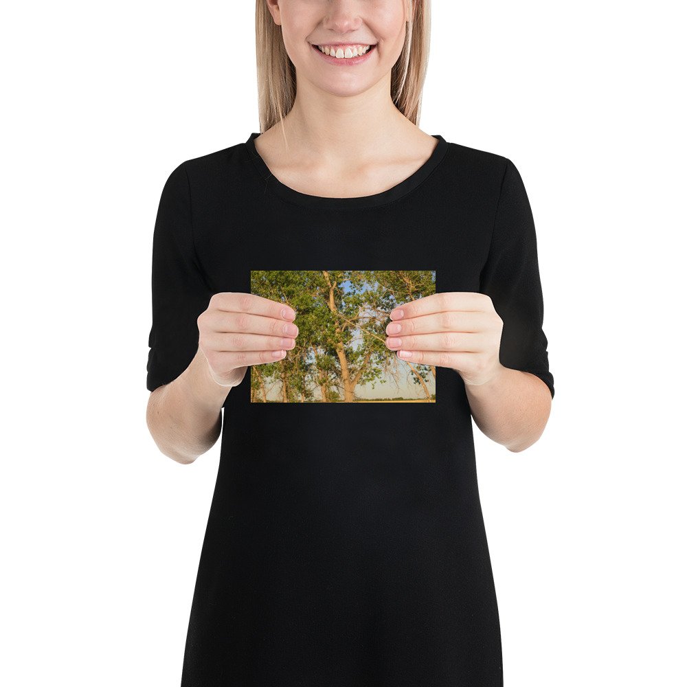 enhanced-matte-paper-poster-(in)-5x7-person-65ef8a0b35189.jpg