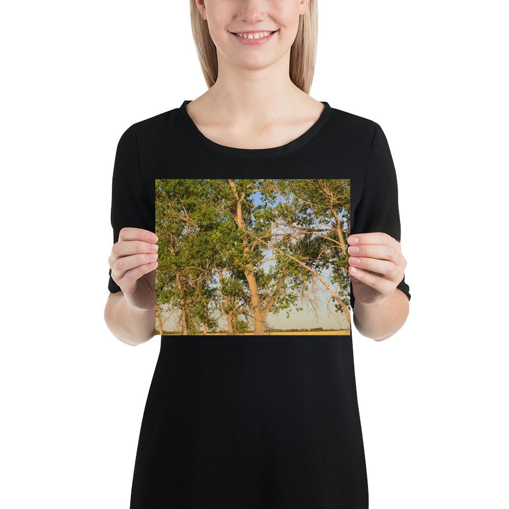 enhanced-matte-paper-poster-(in)-8x10-person-65ef8a0b352ac.jpg