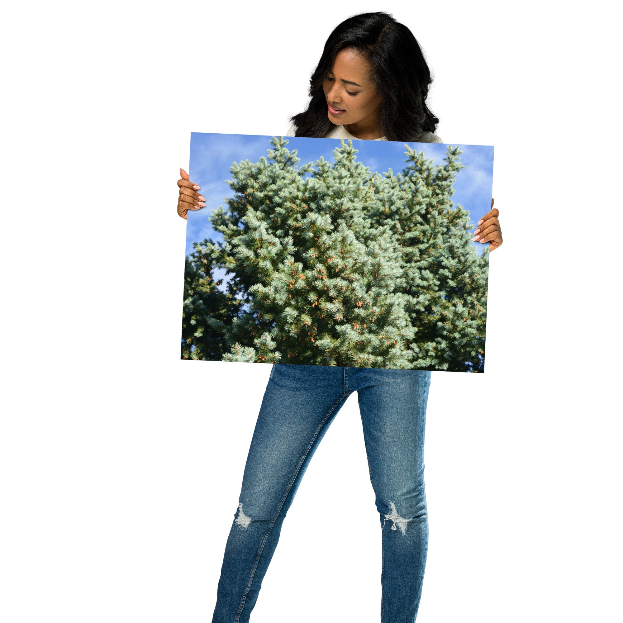 enhanced-matte-paper-poster-(in)-18x24-front-65ef8adf0b67c.jpg