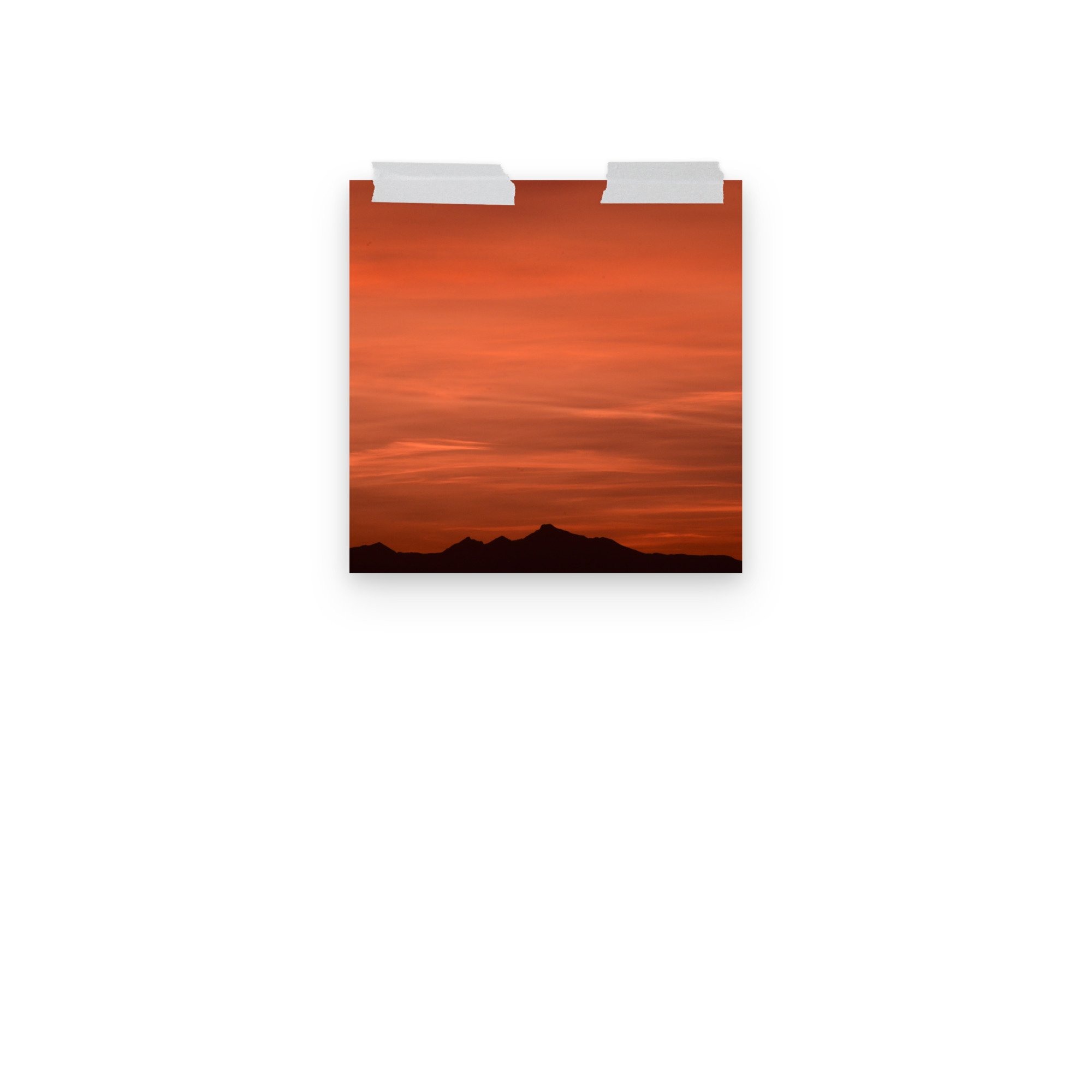 enhanced-matte-paper-poster-(in)-10x10-front-3-65ef8cb9e7257.jpg